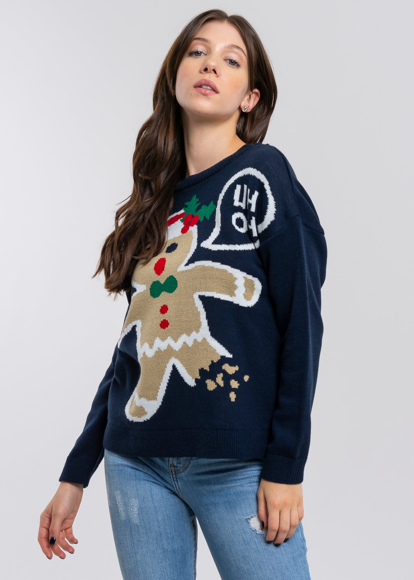 Gingerbread Cookie Sweater NAVY COMBO