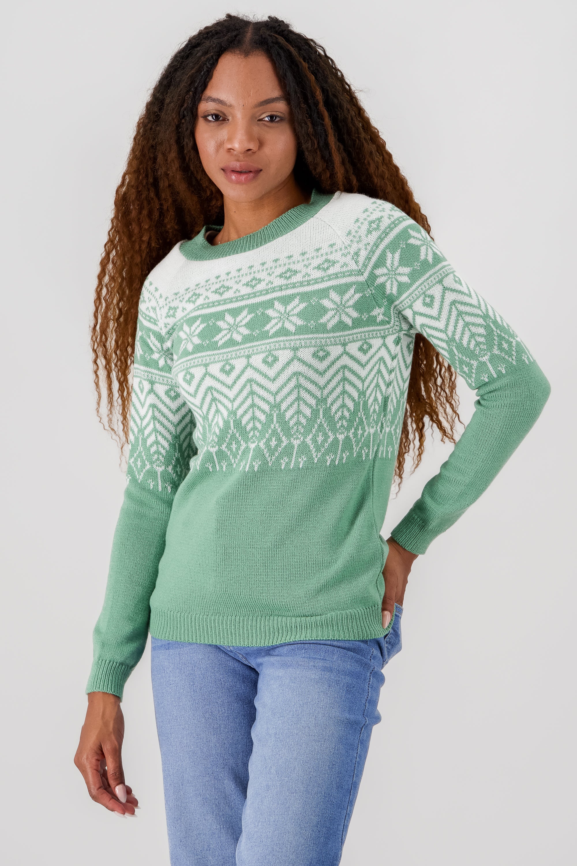 Christmas print sweater SAGE