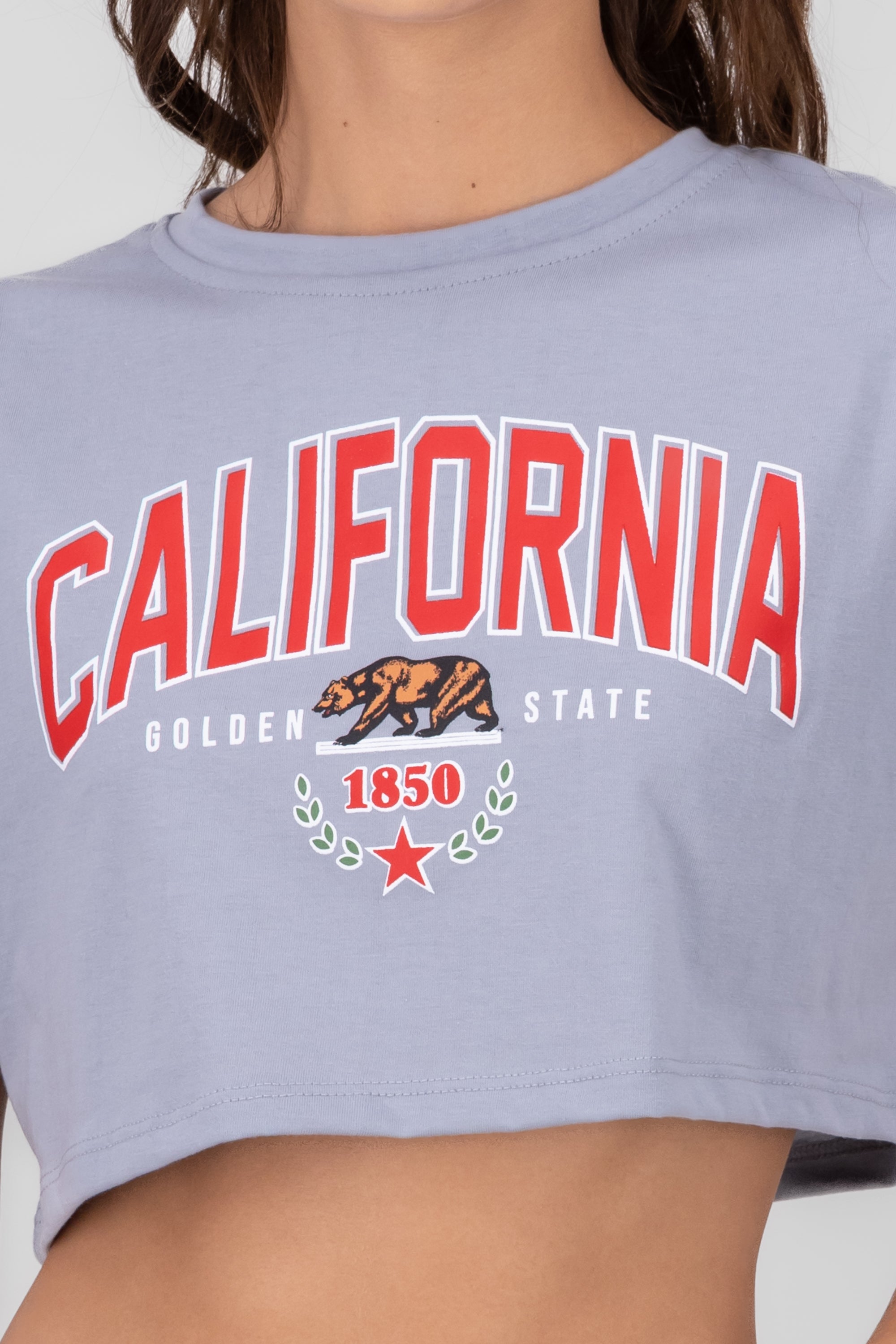 California print crop top SILVER