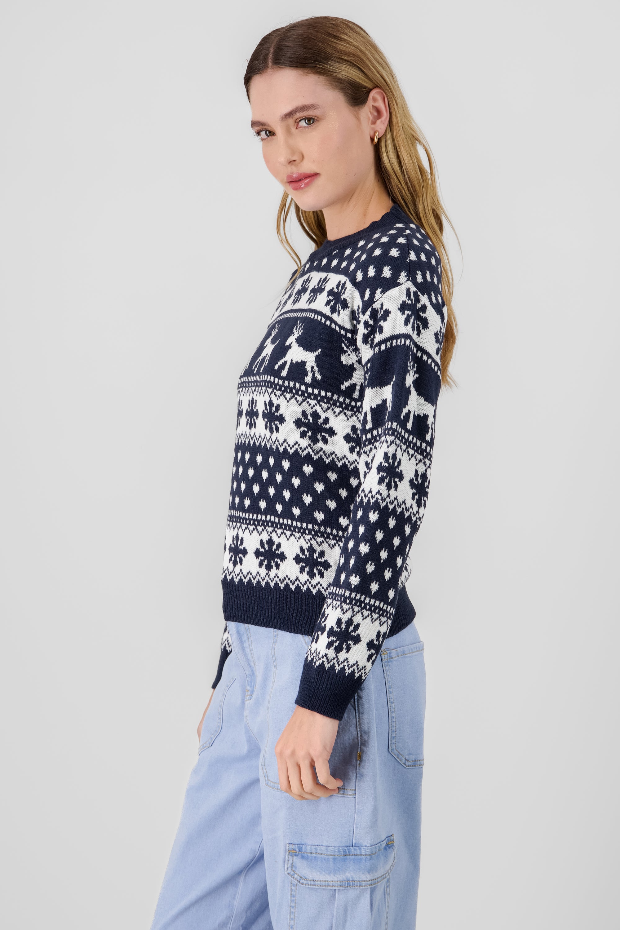 Reindeer Christmas Sweater NAVY COMBO