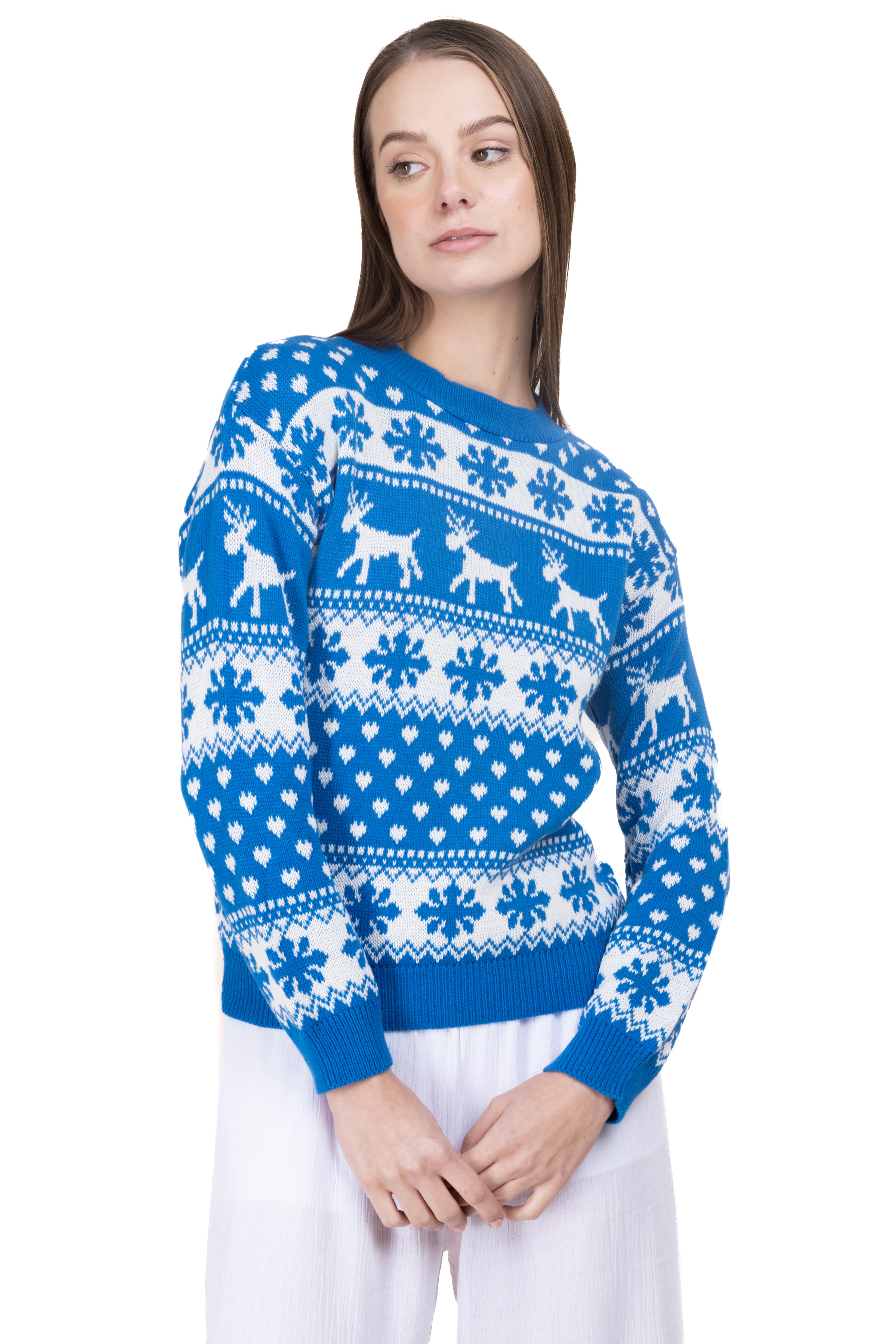 Reindeer Christmas Sweater BLUE COMBO