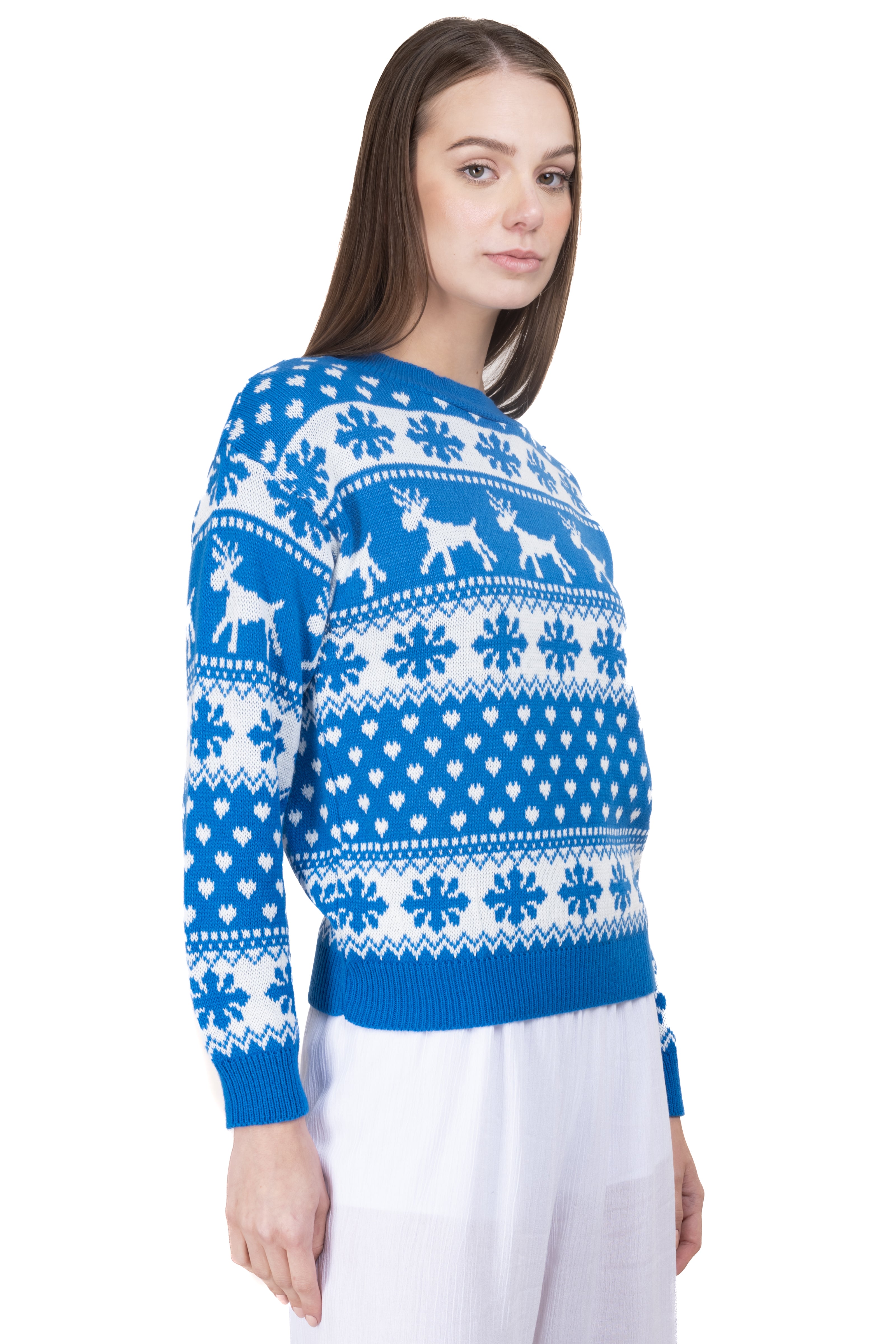 Reindeer Christmas Sweater BLUE COMBO