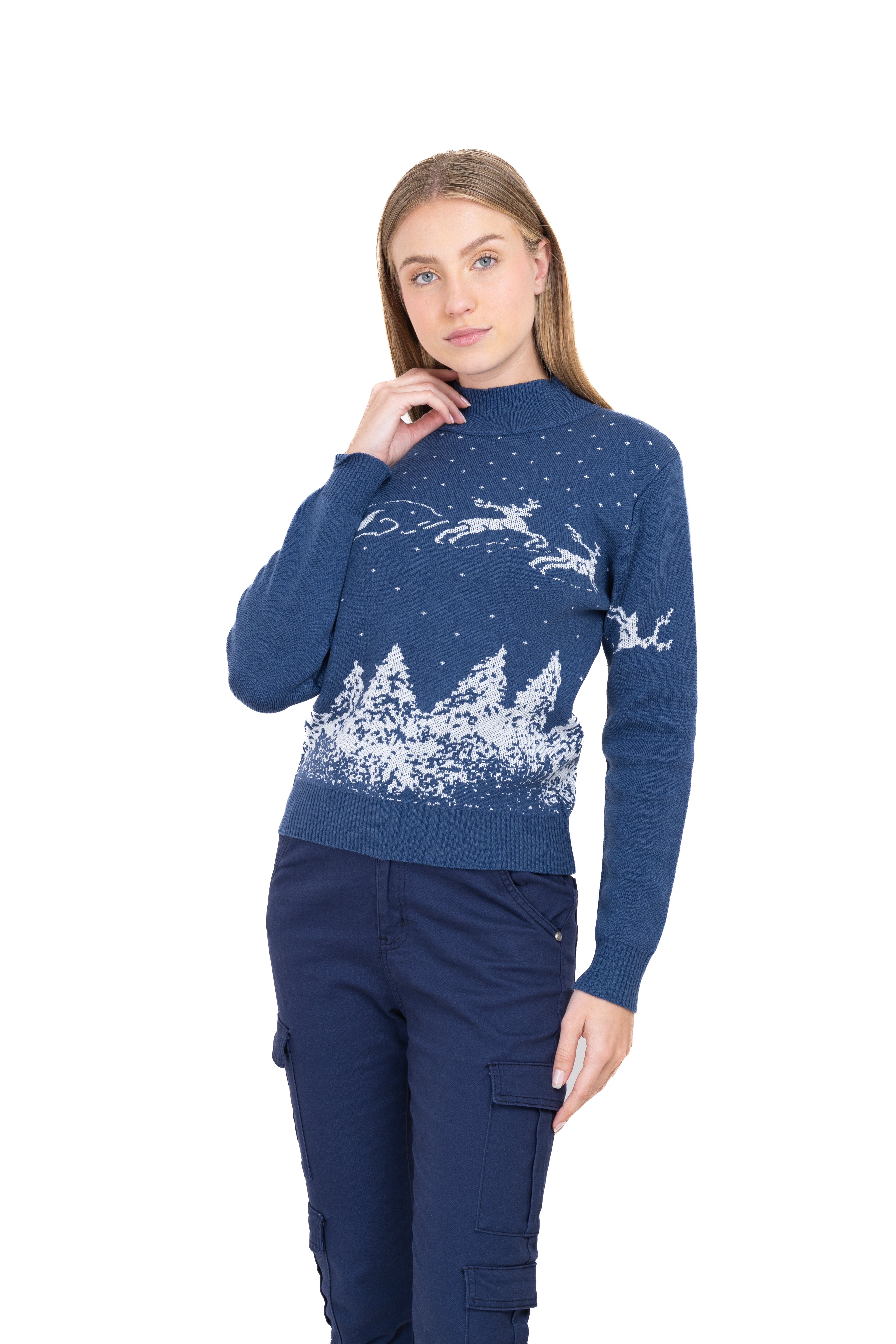 Printed christmas sweater BLUE COMBO