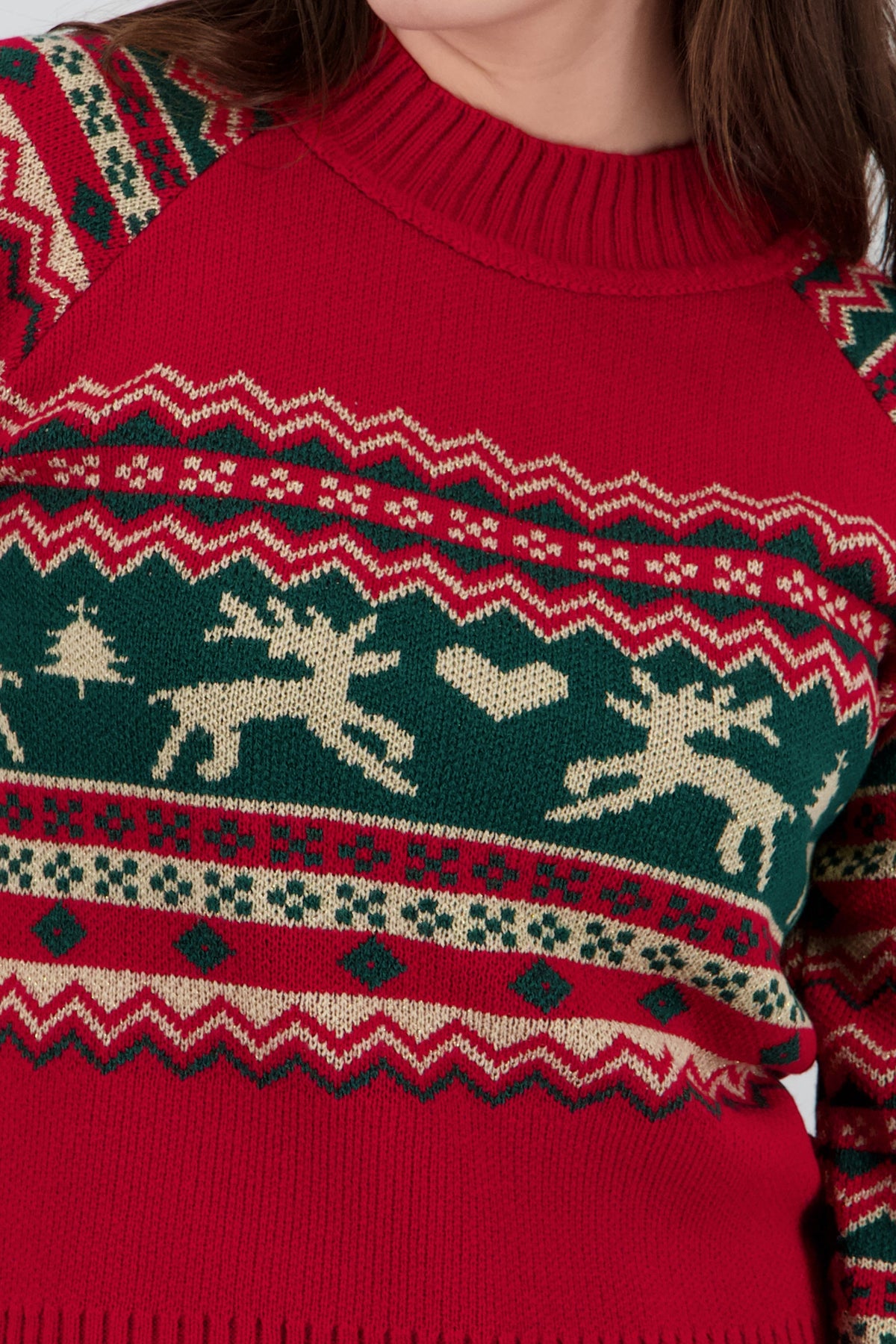 Reindeer Christmas Sweater