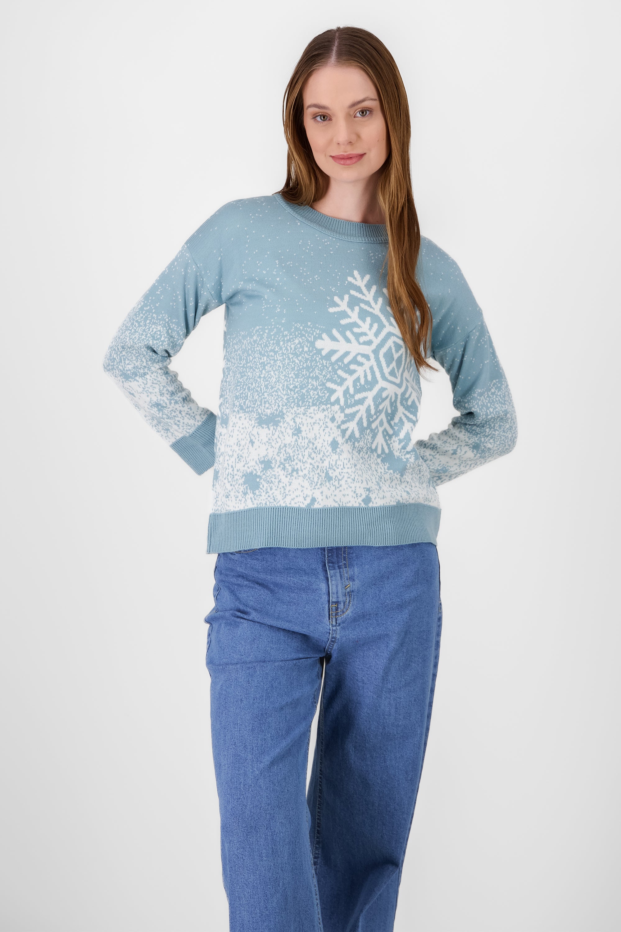 Snowflake Christmas Sweater BLUE COMBO