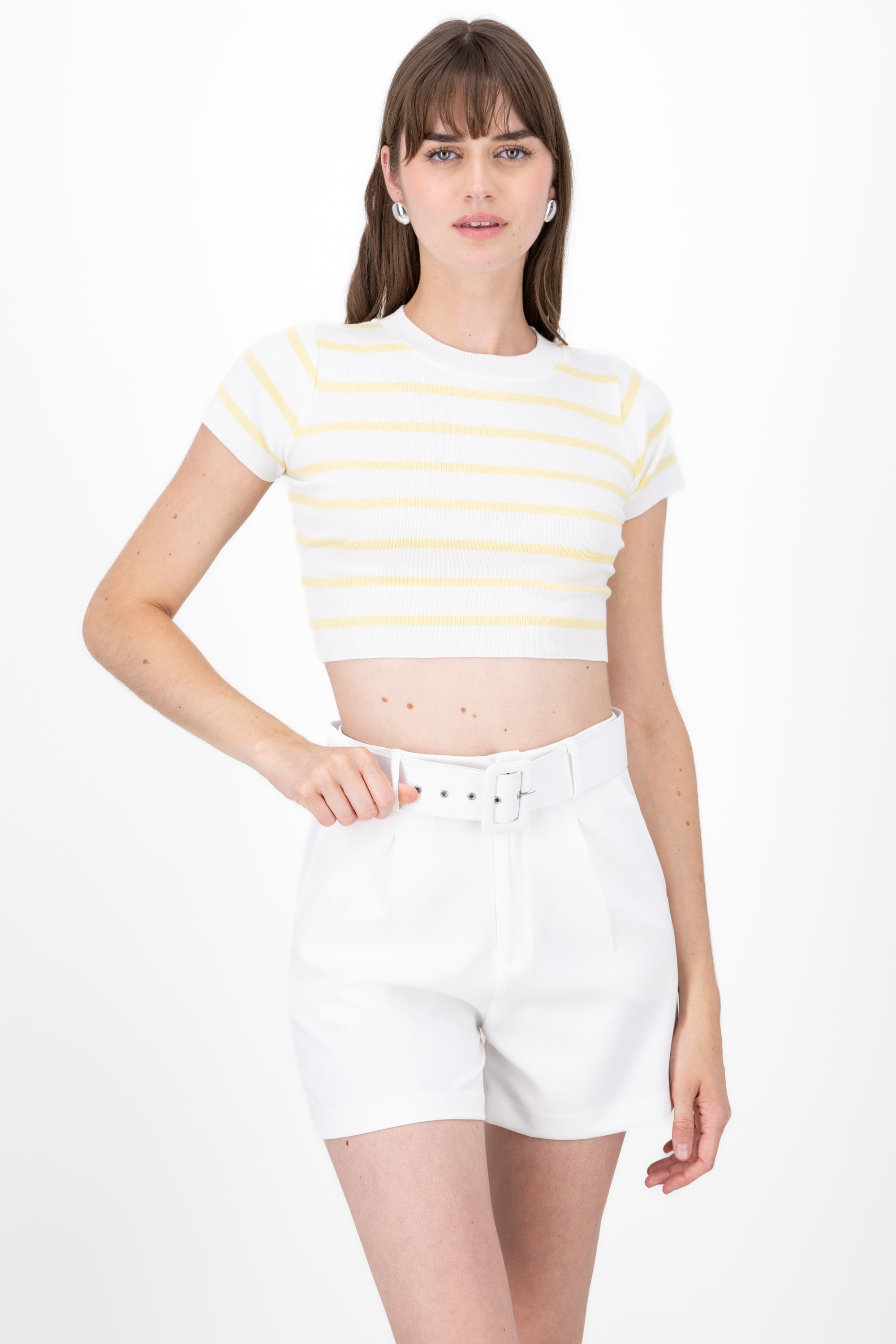 Striped Print Short Sleeve Knit Crop Top PASTEL YELLOW