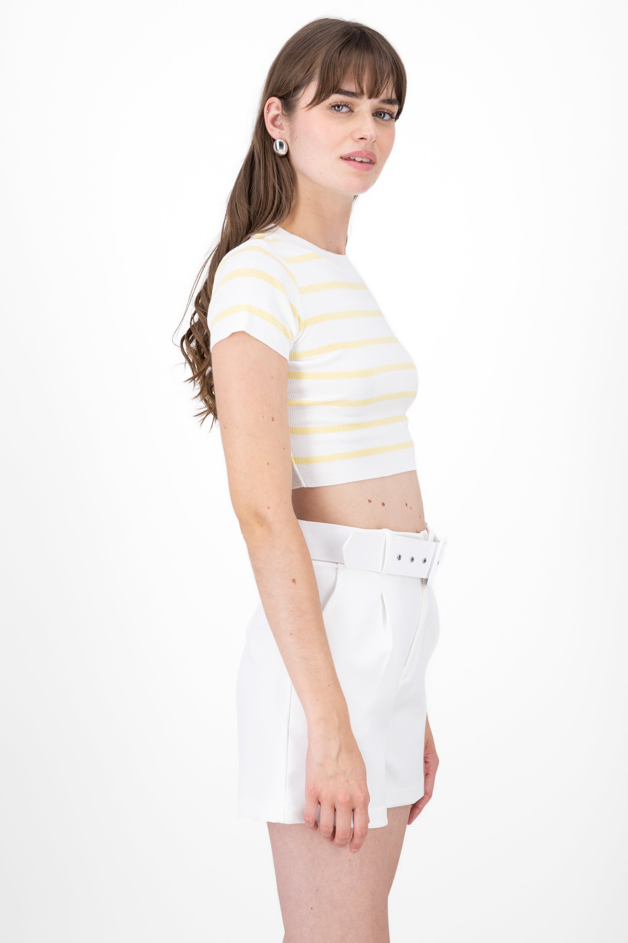 Striped Print Short Sleeve Knit Crop Top PASTEL YELLOW