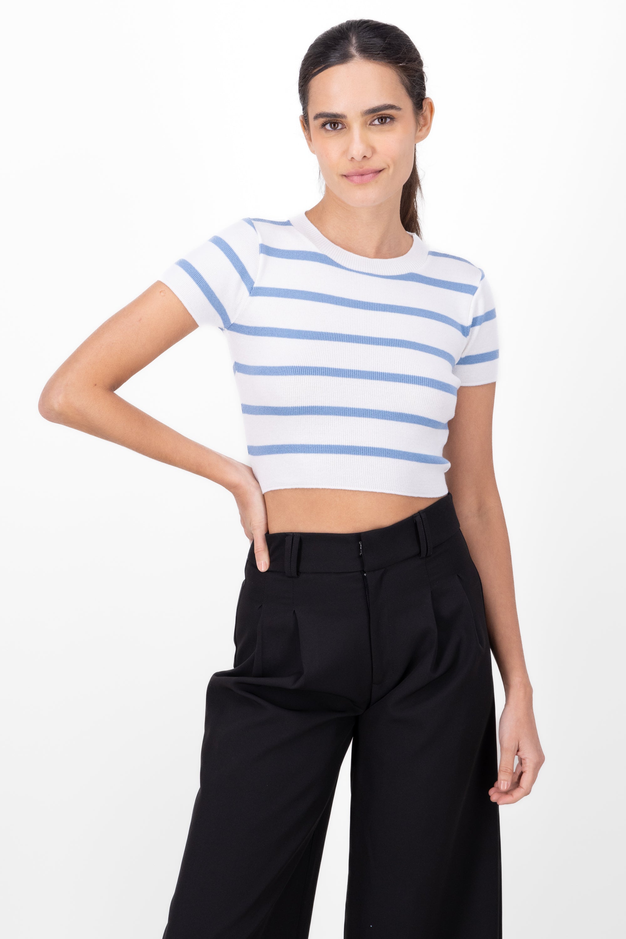 Striped Print Short Sleeve Knit Crop Top PASTEL BLUE