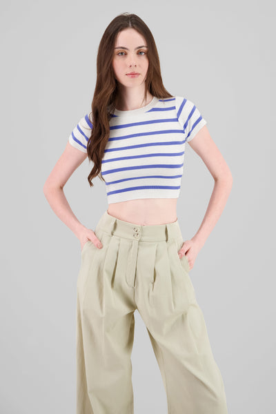 Striped Print Short Sleeve Knit Crop Top 