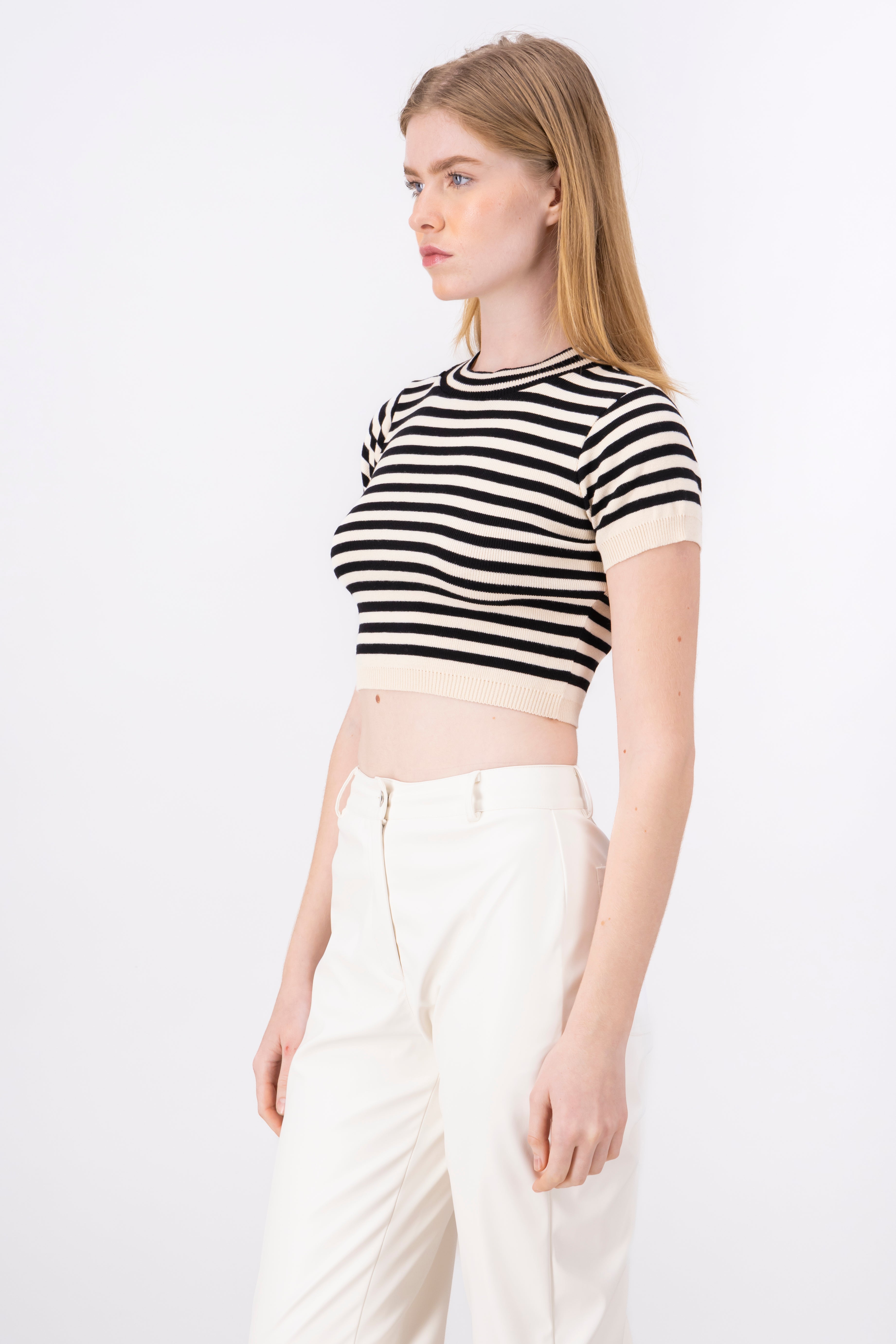 Striped Round Neck Crop Top BLACK COMBO