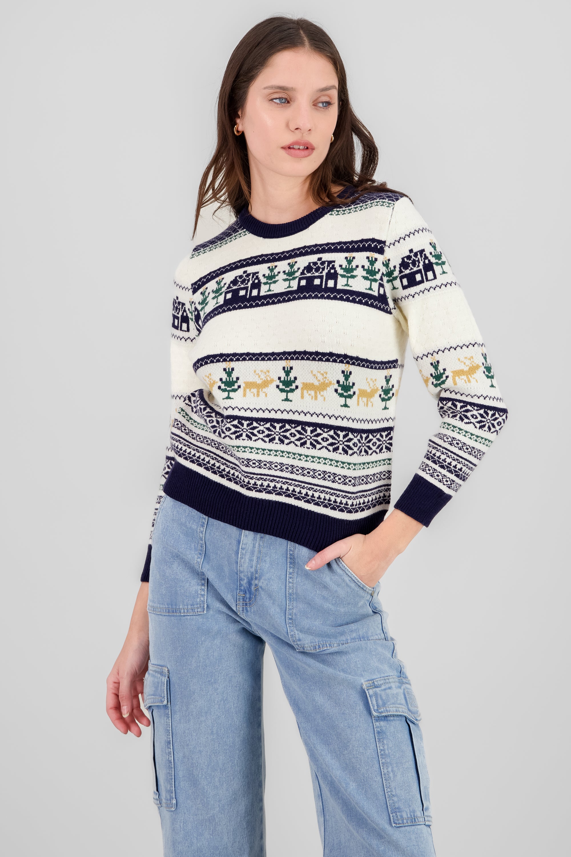 Houses Christmas Sweater NAVY COMBO