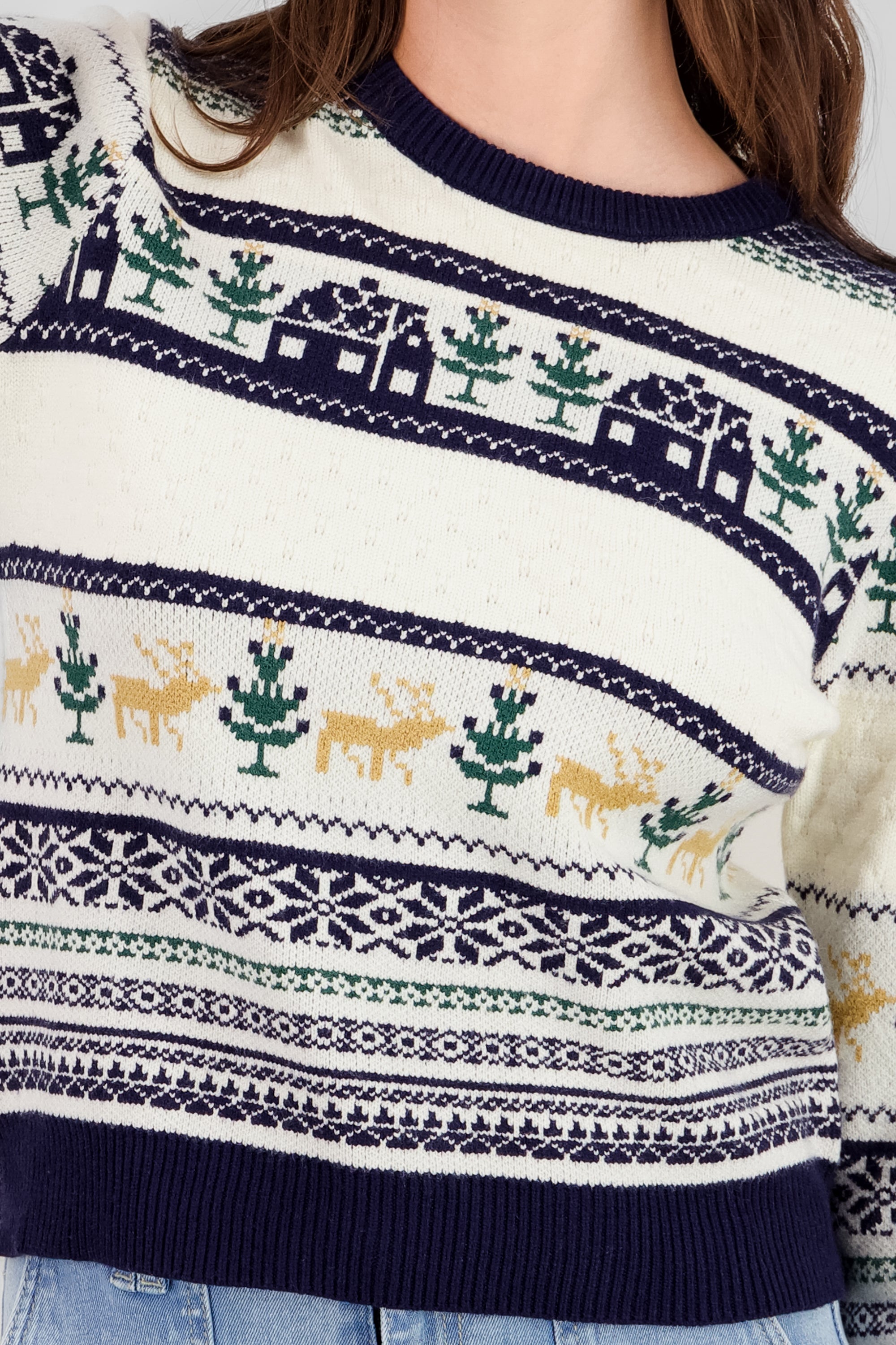 Houses Christmas Sweater NAVY COMBO