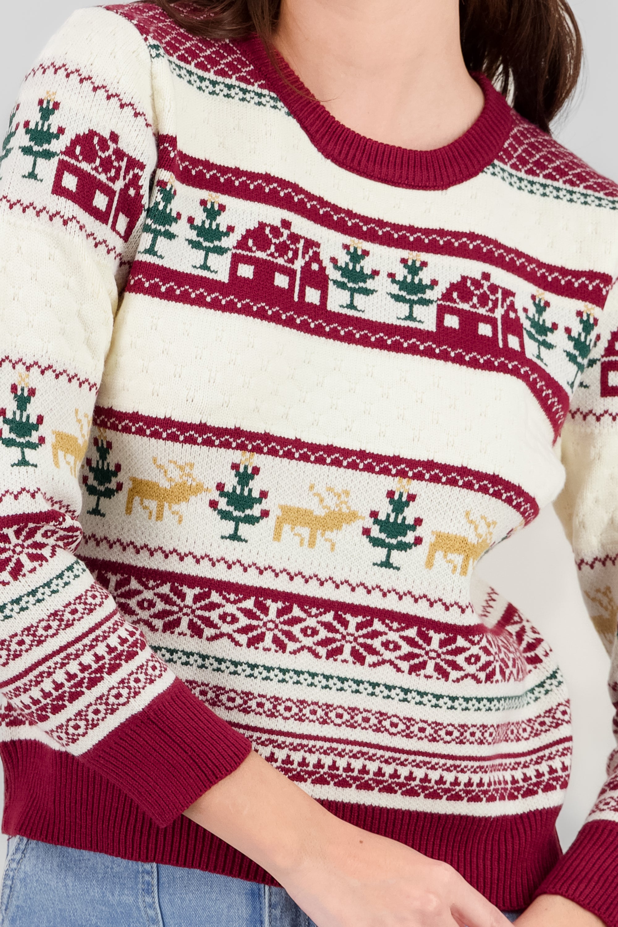 Houses Christmas Sweater BONE COMBO