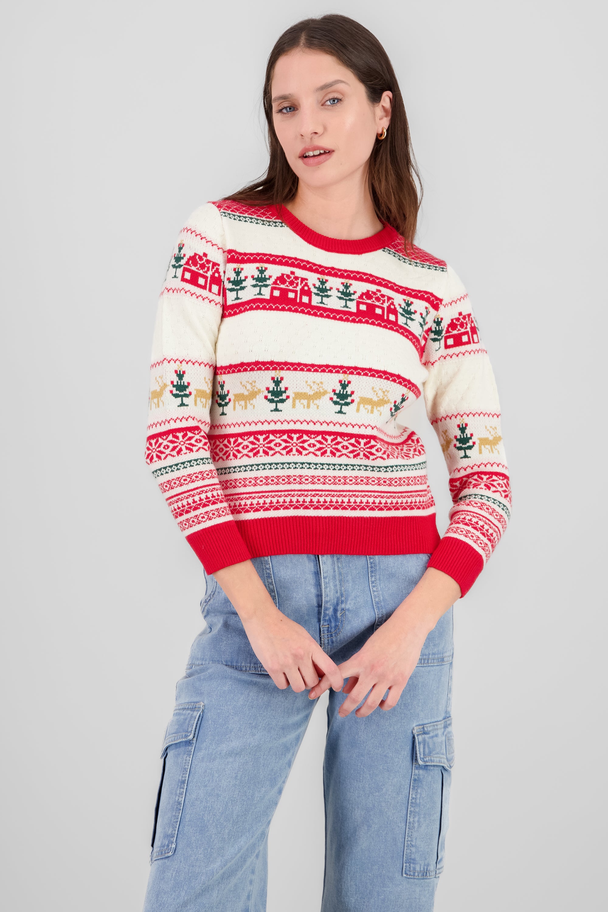 Houses Christmas Sweater RED COMBO