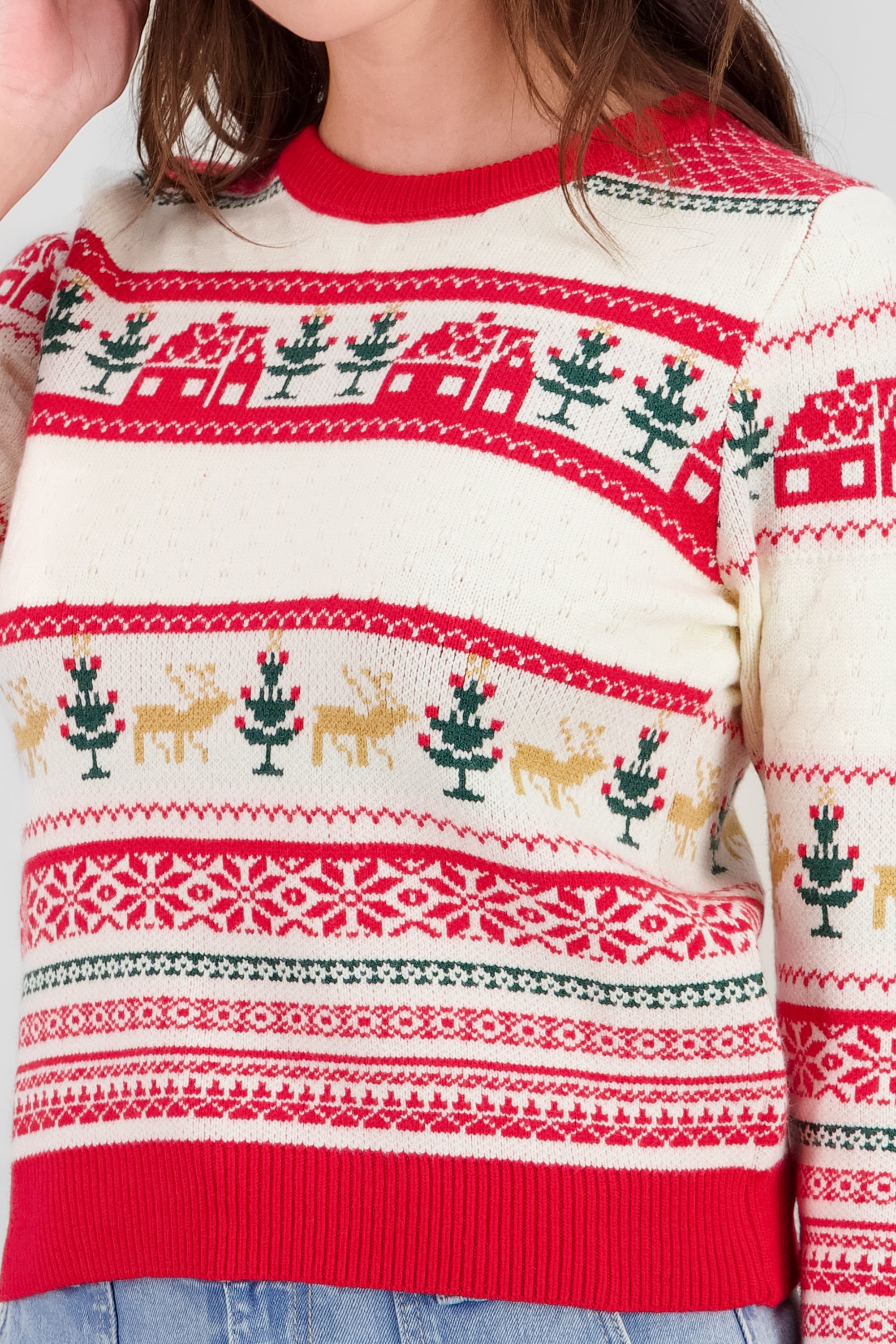 Houses Christmas Sweater RED COMBO