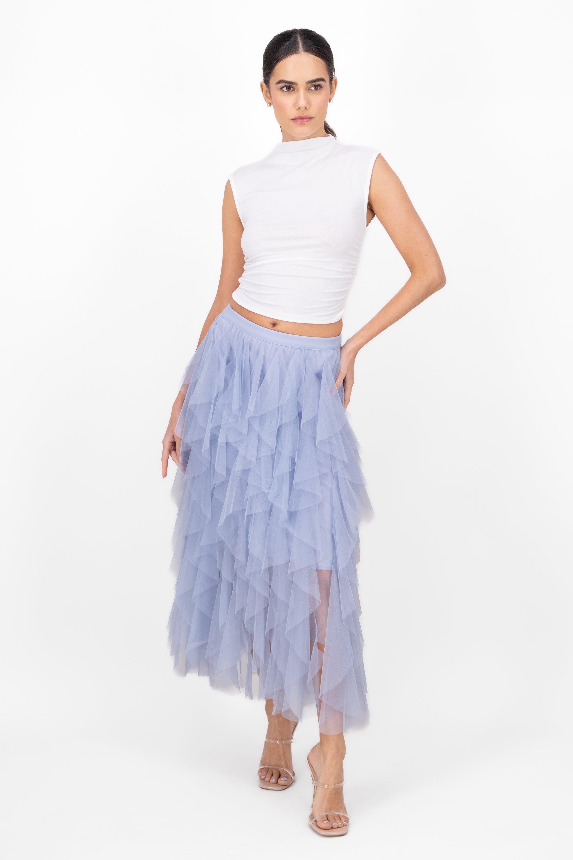 Mesh Layered Ruffled Skirt BLUE