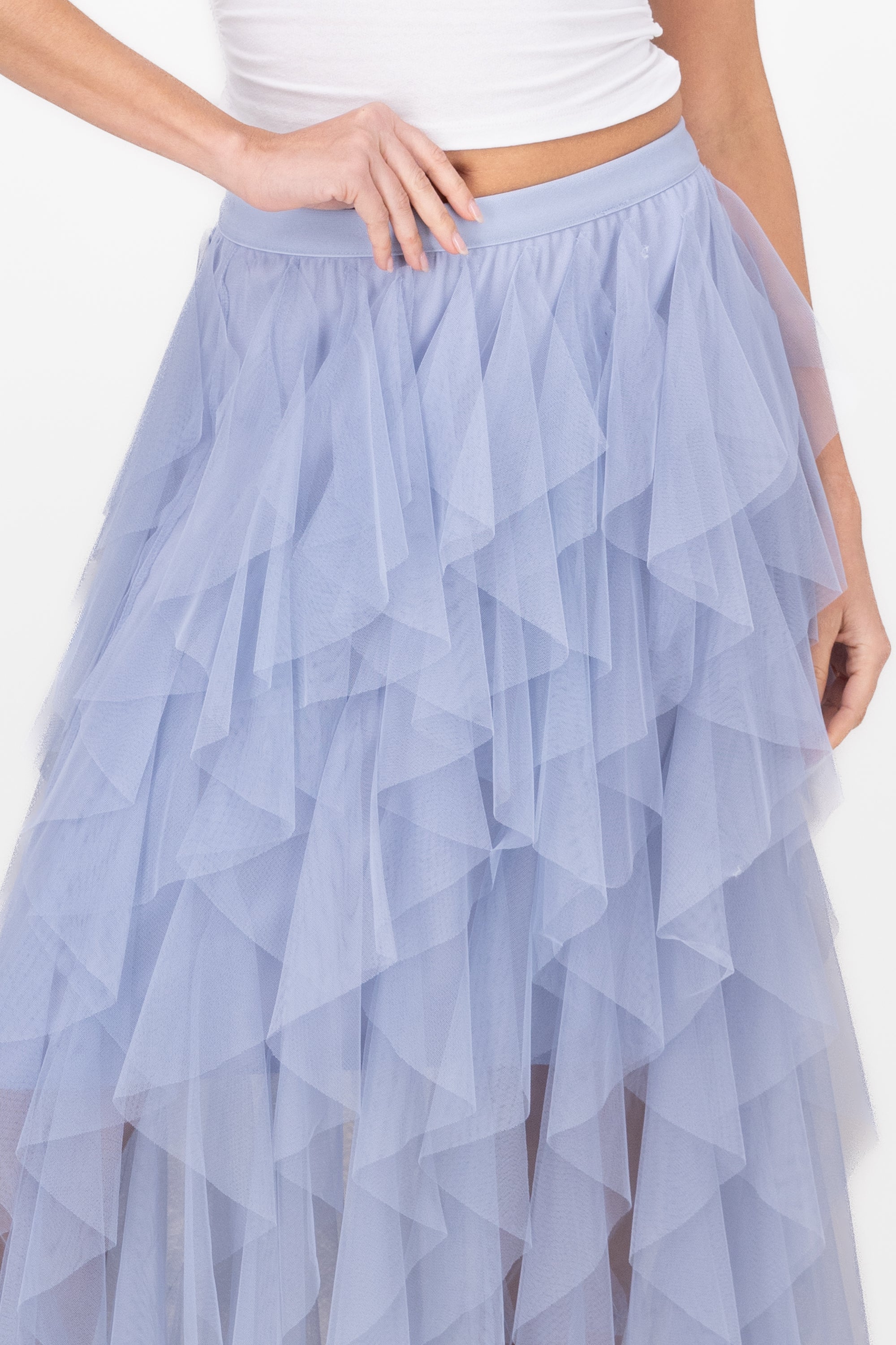 Mesh Layered Ruffled Skirt BLUE