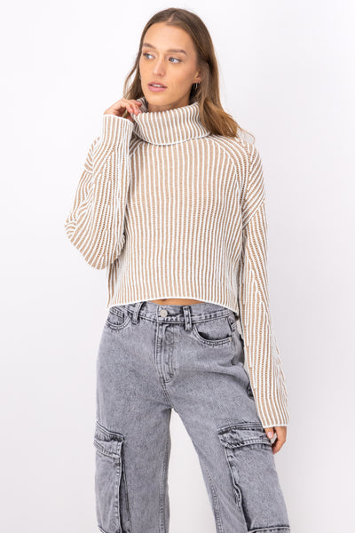 TwoTone Thick Turtleneck Sweater BROWN COMBO