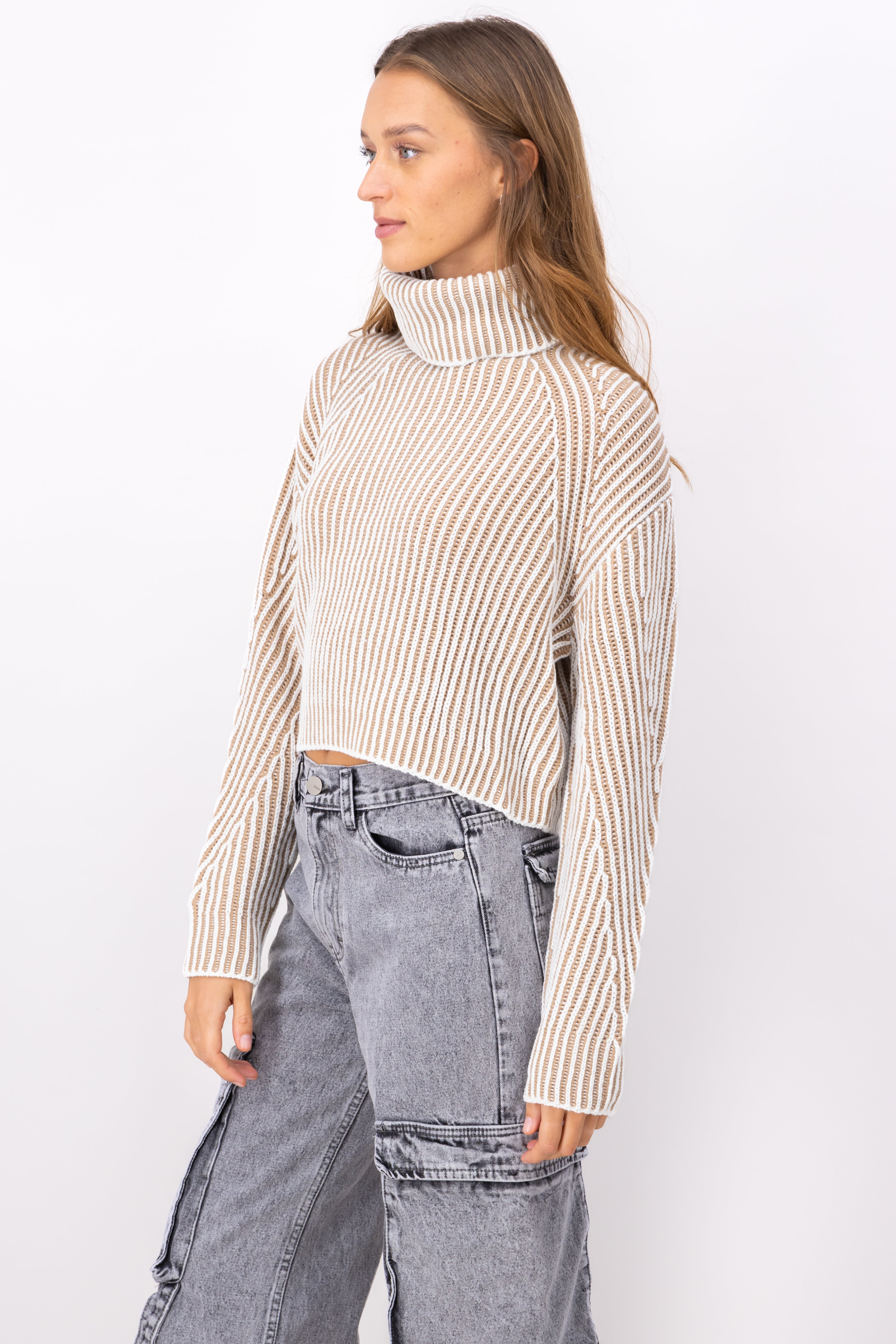 TwoTone Thick Turtleneck Sweater BROWN COMBO