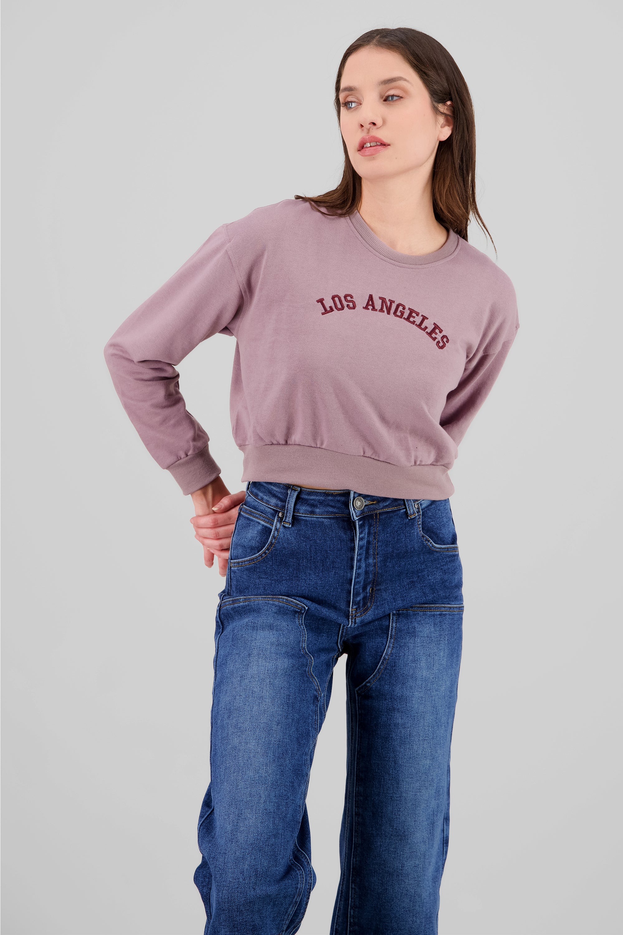 Los Angeles Graphic Cropped Sweater MAUVE