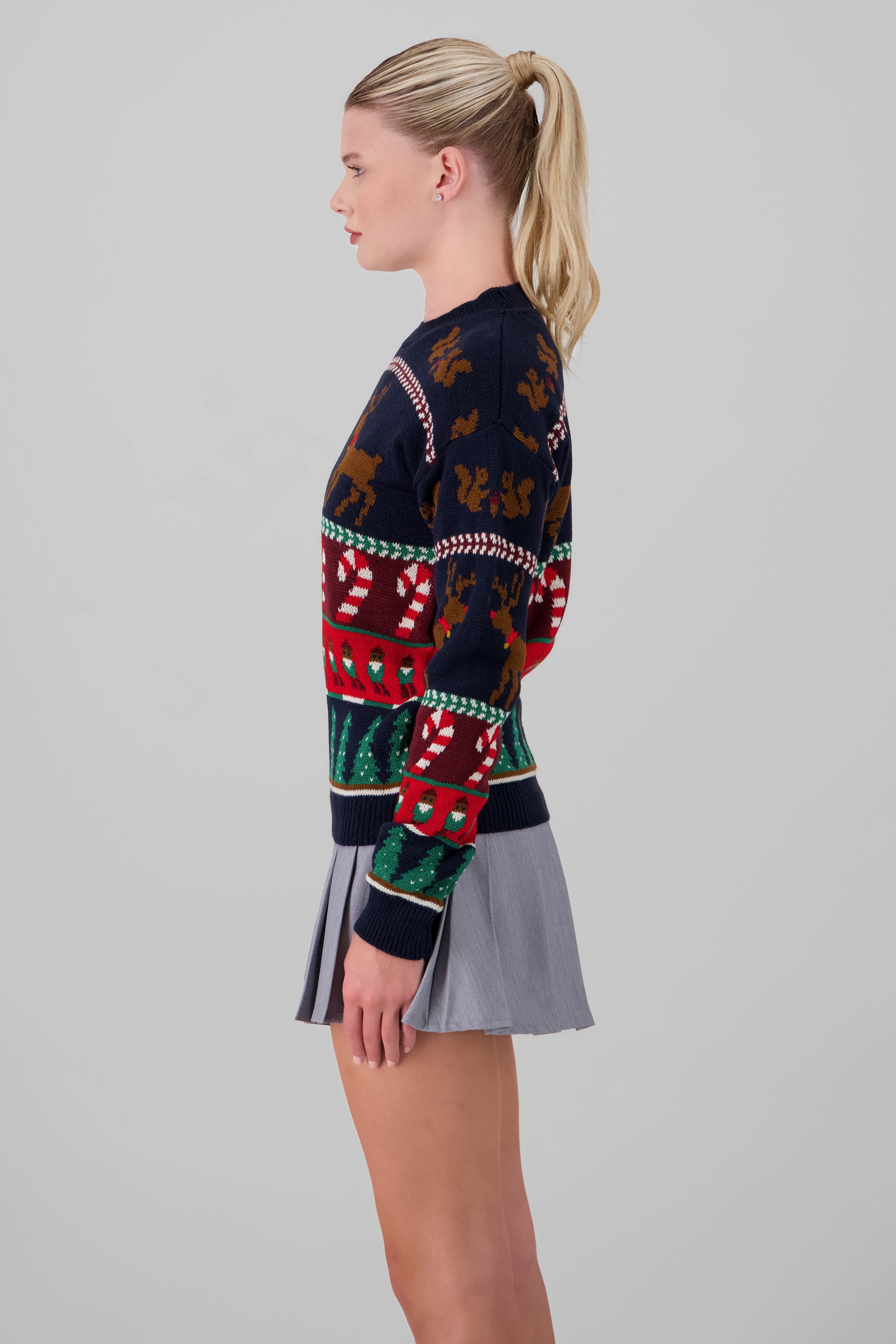 Reindeer Christmas Sweater NAVY COMBO