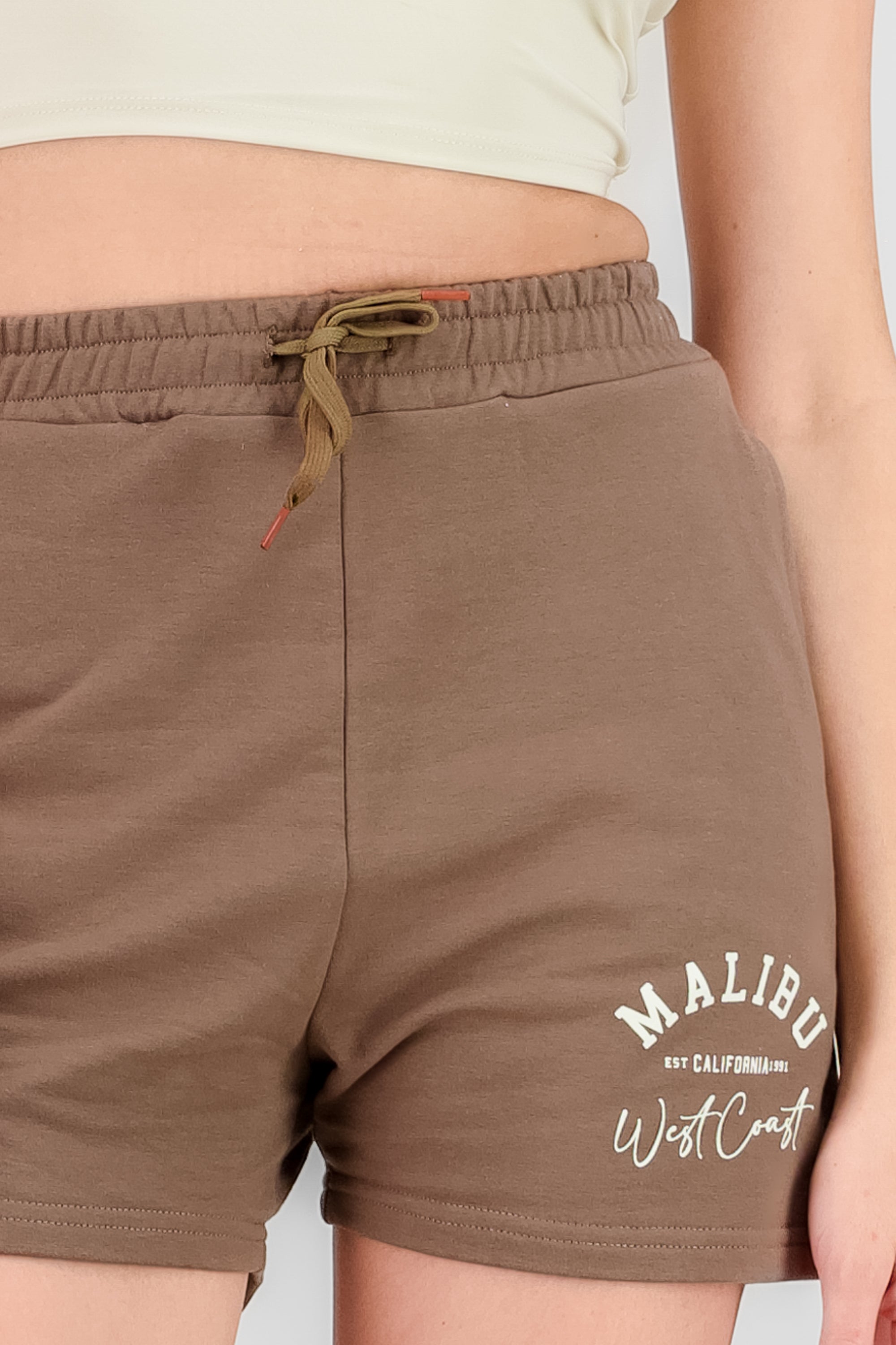 Malibu West Coast Graphic Shorts BROWN