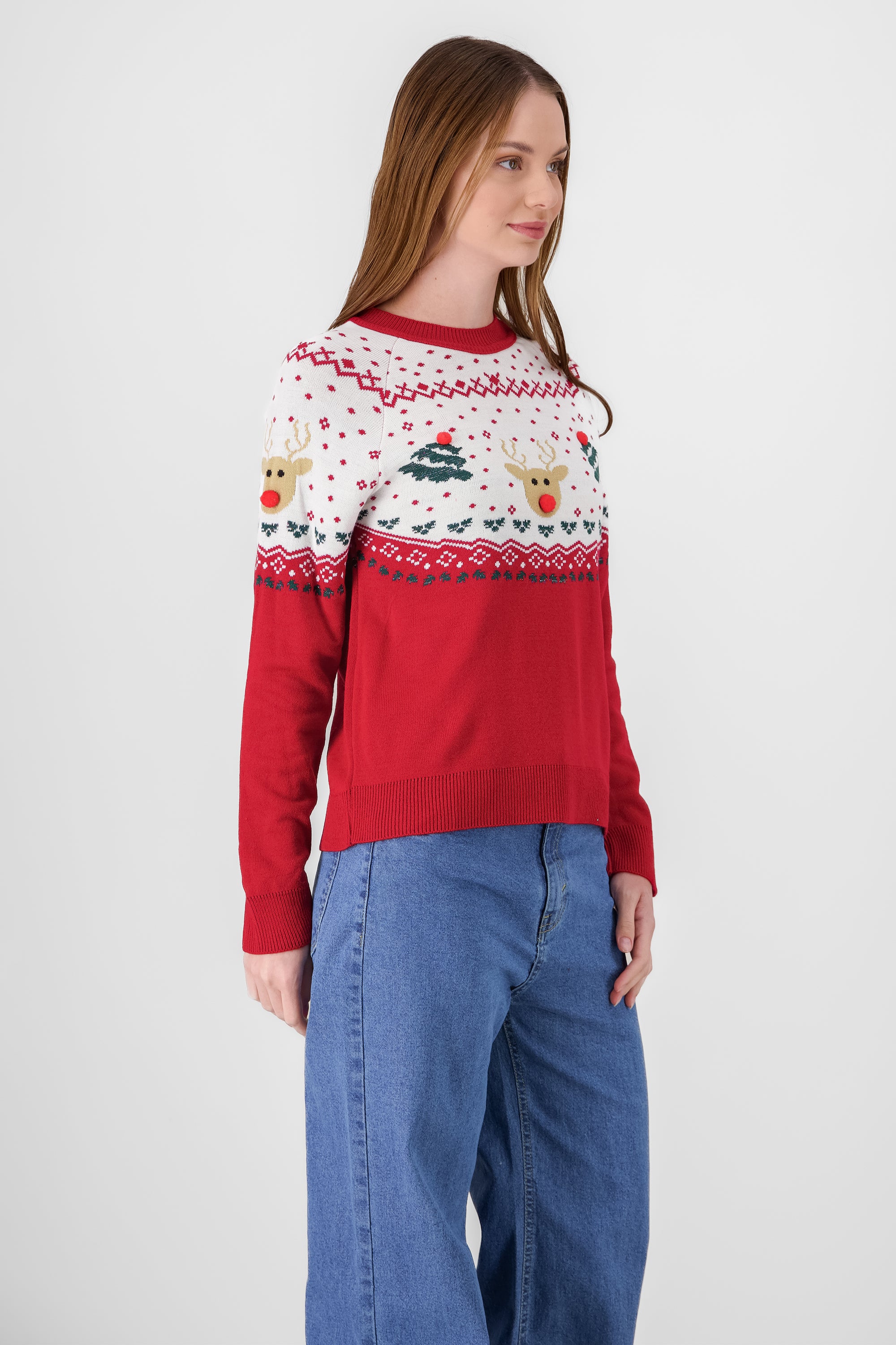 Reindeer Sweater RED COMBO