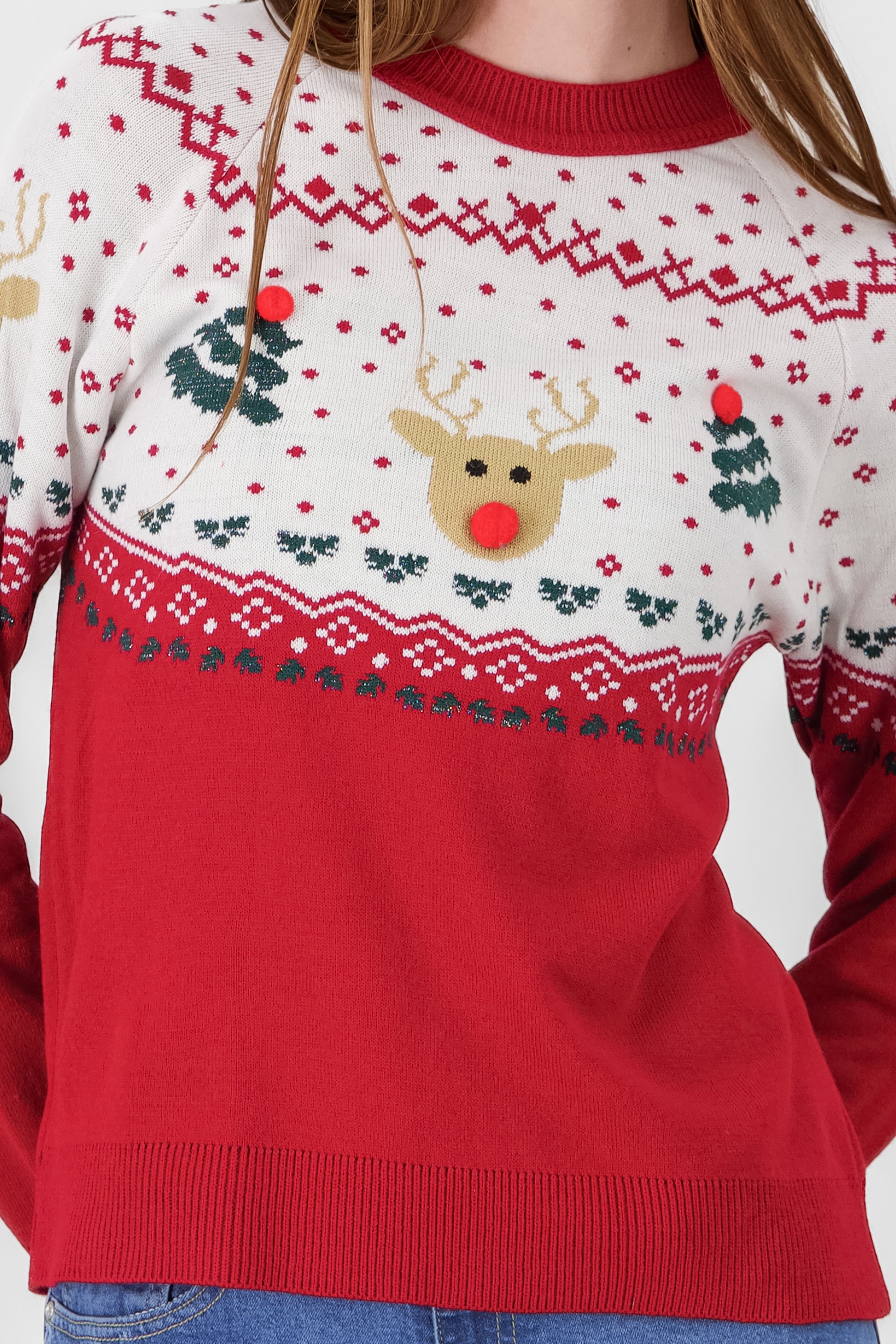 Reindeer Sweater RED COMBO