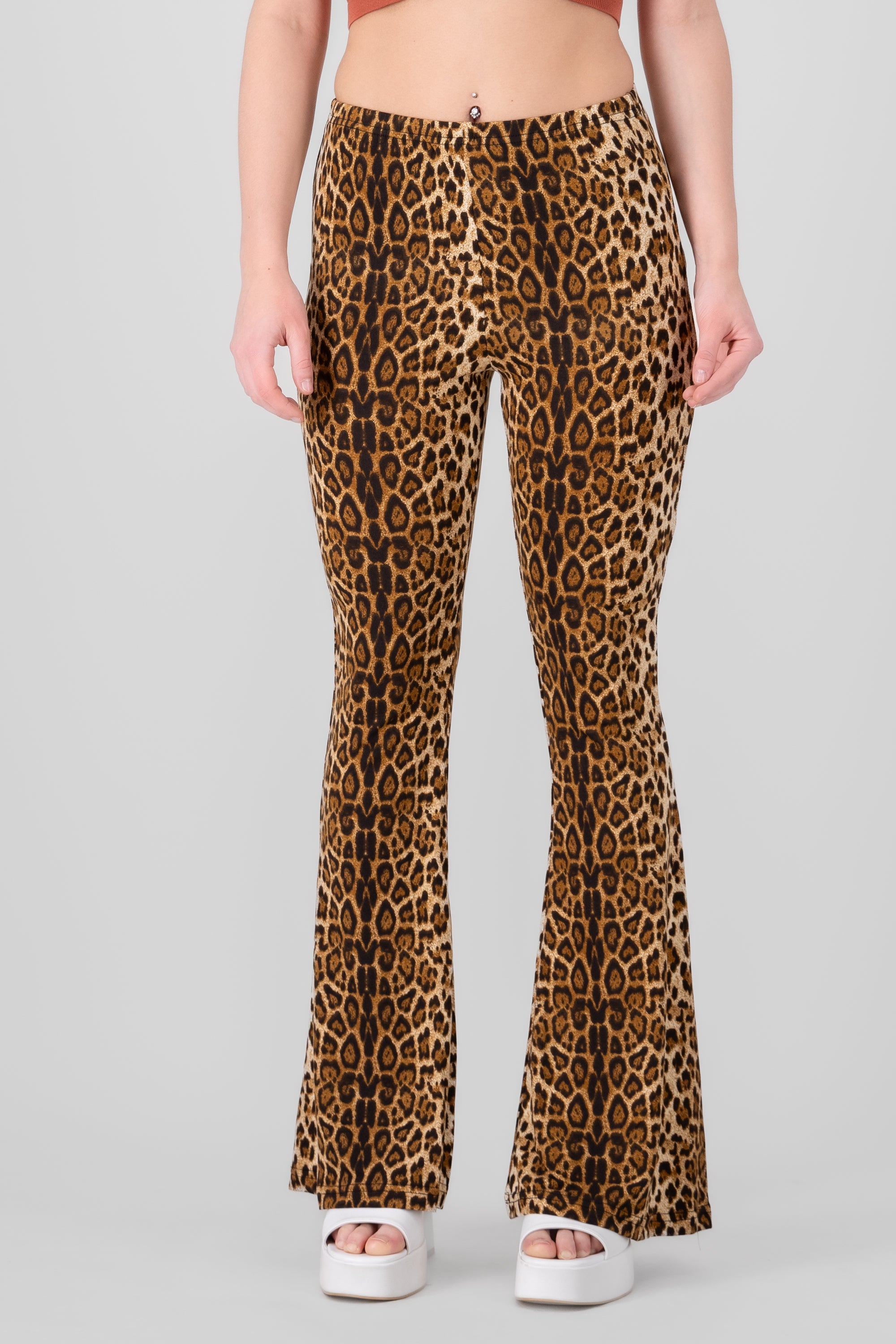 Animal Print Flared Pants BROWN COMBO