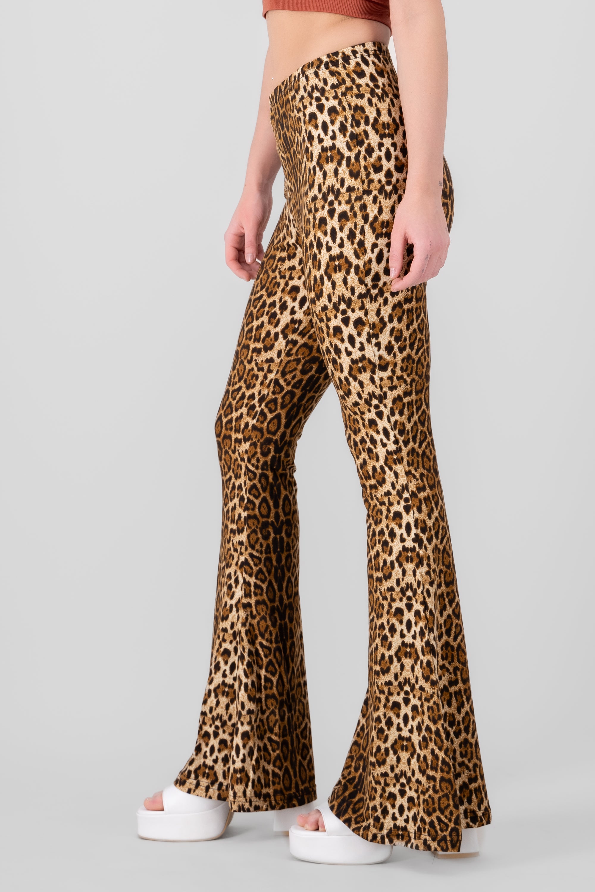 Animal Print Flared Pants BROWN COMBO