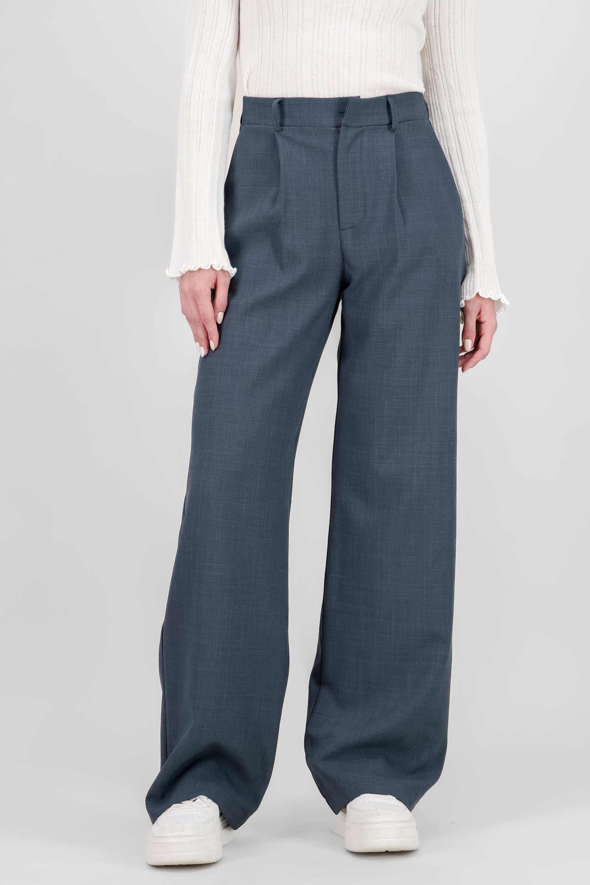 Wide Pleated Pants DARK GRAY