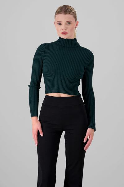 Solid Turtle Neck Sweater HUNTER GREEN