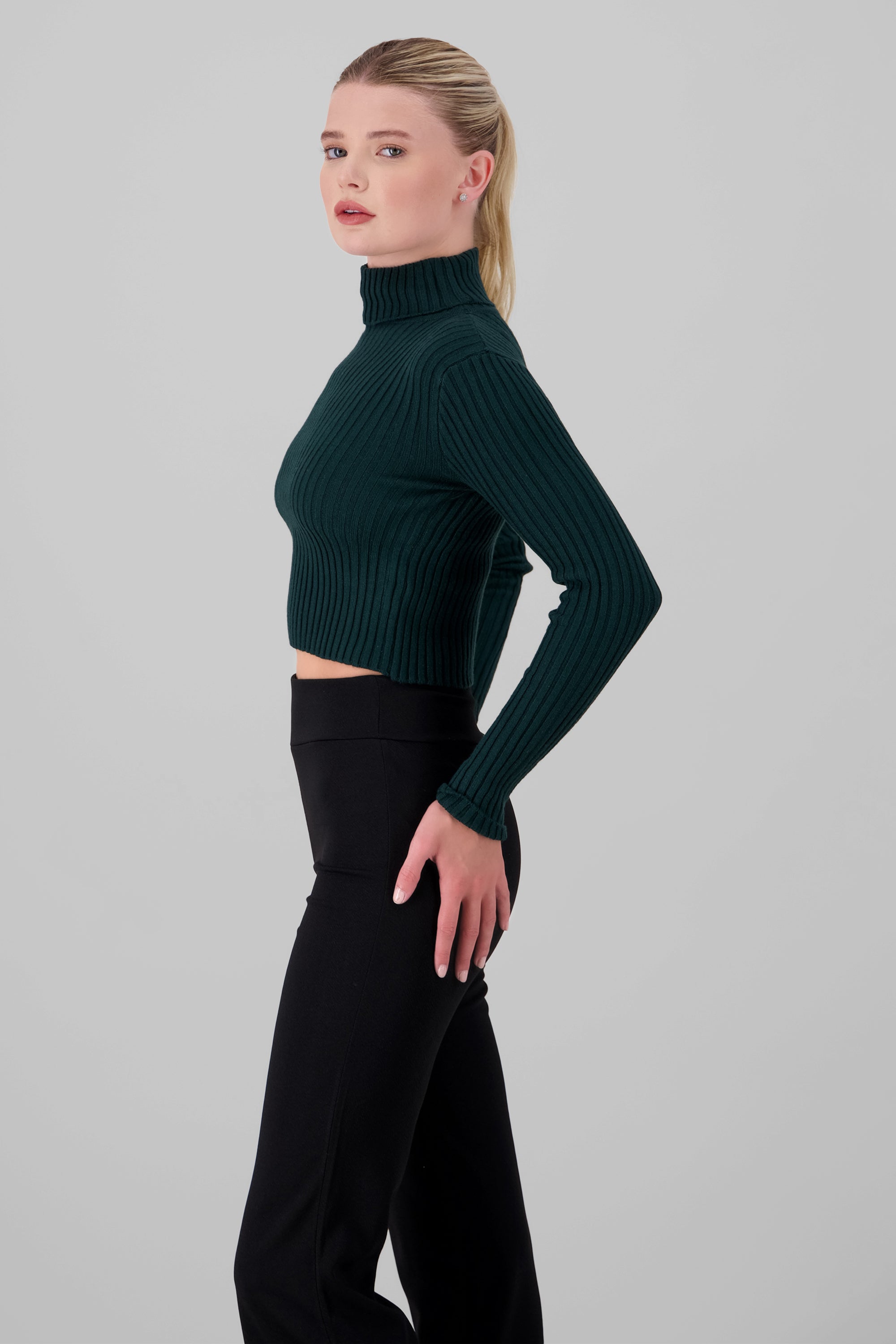 Solid Turtle Neck Sweater HUNTER GREEN