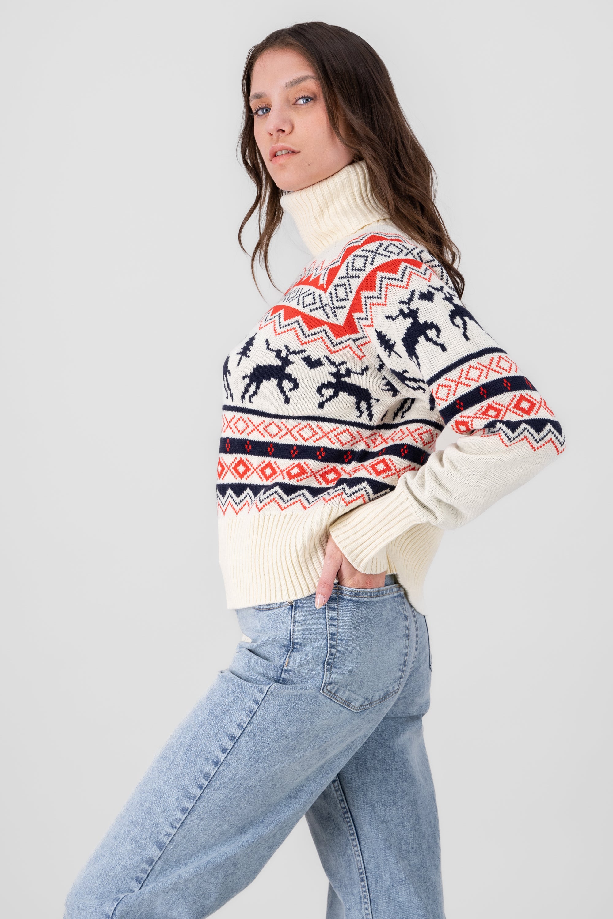 Reindeer Christmas Sweater BONE COMBO