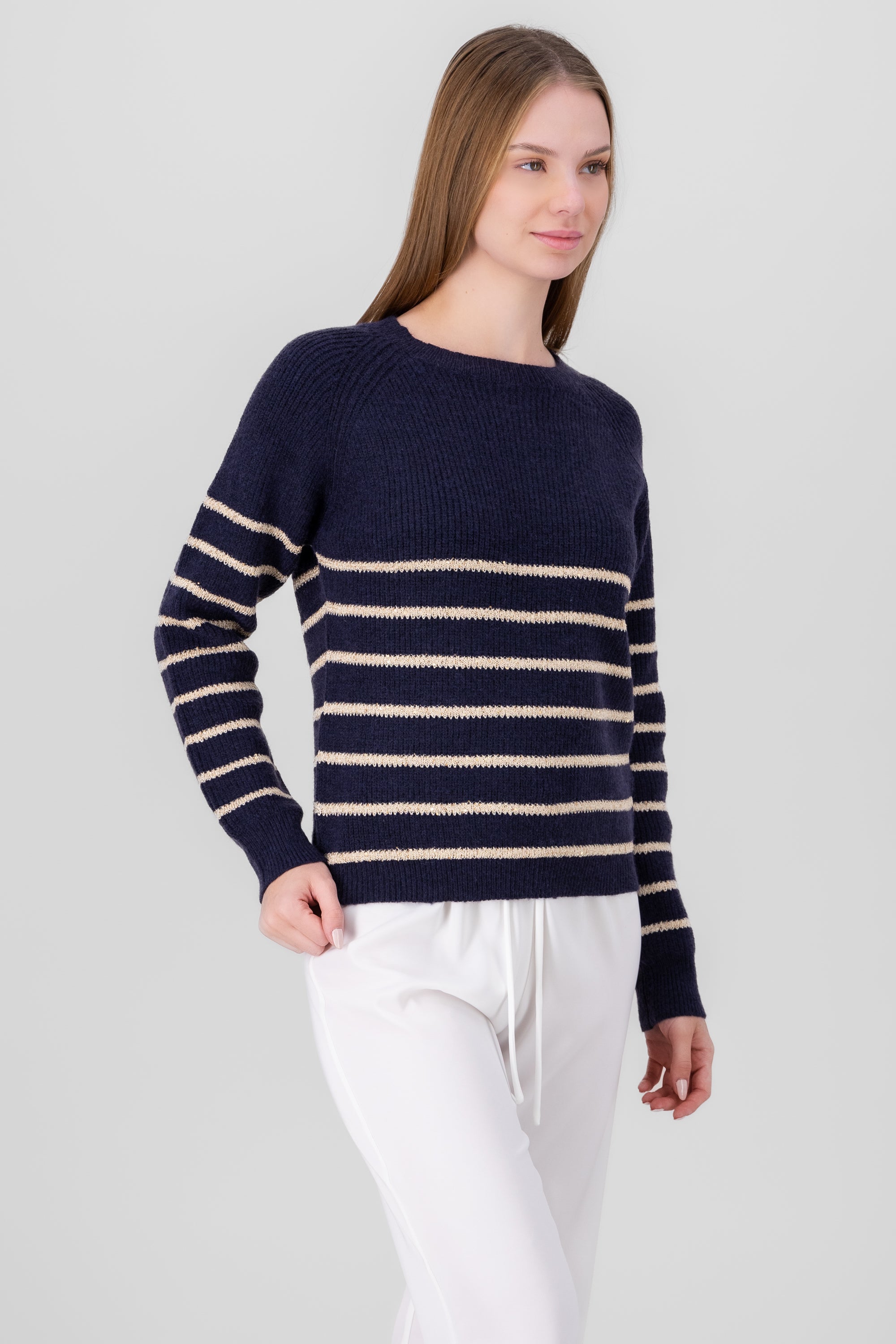 Striped Sweater with sparkles NAVY COMBO