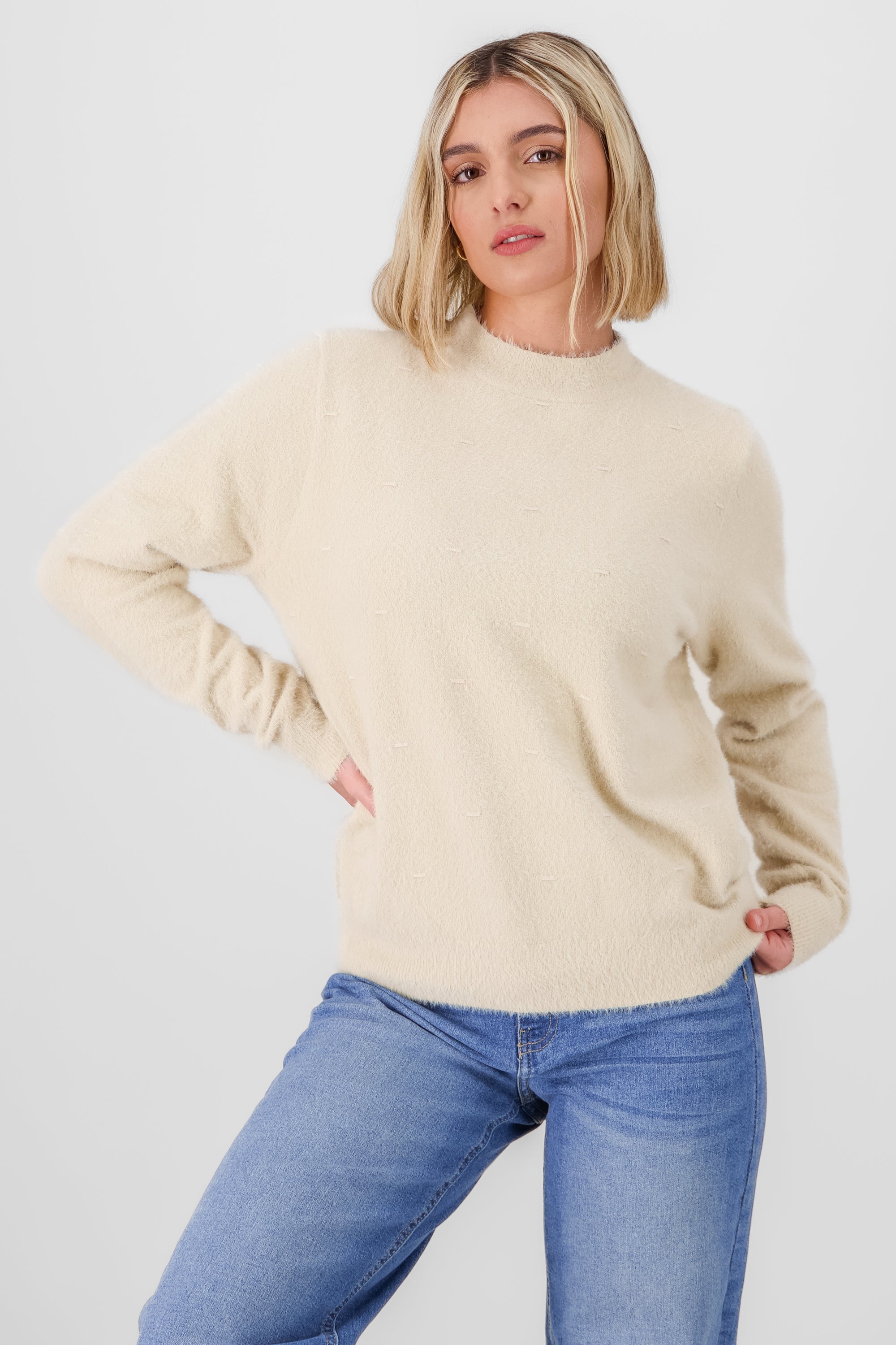 Soft Long Sleeve Sweater BEIGE