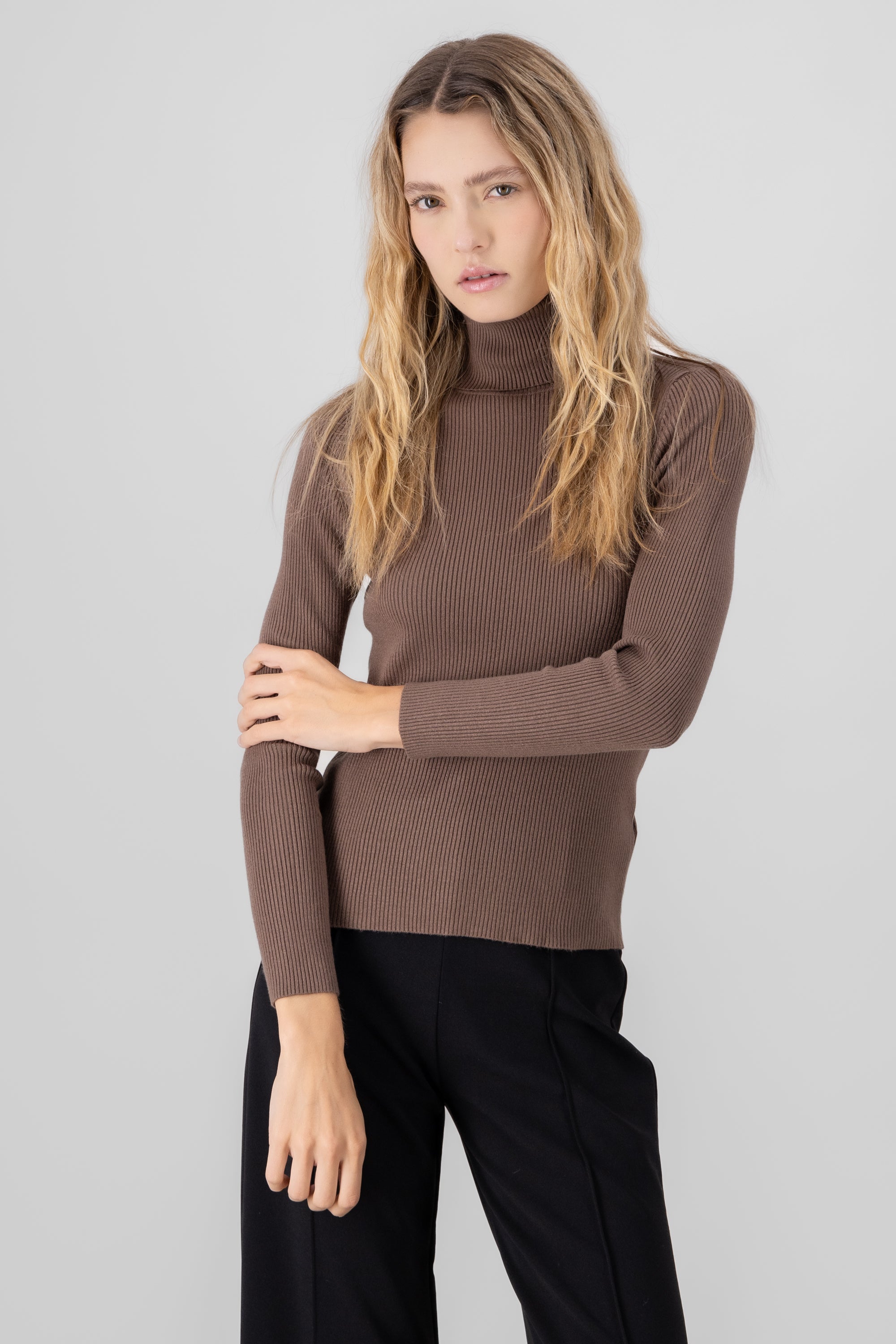 Ribbed High Neck Sweater BROWN