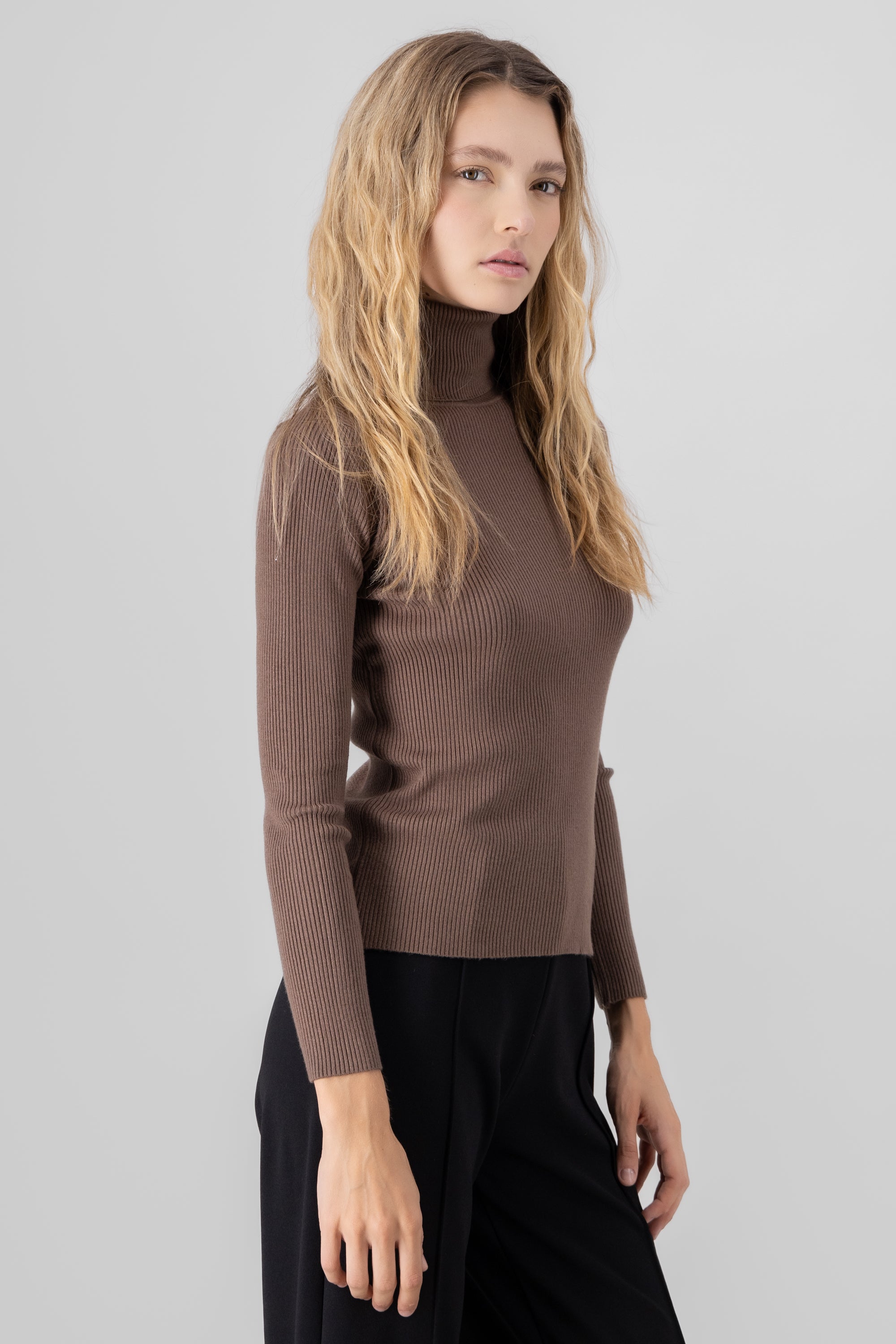 Ribbed High Neck Sweater BROWN