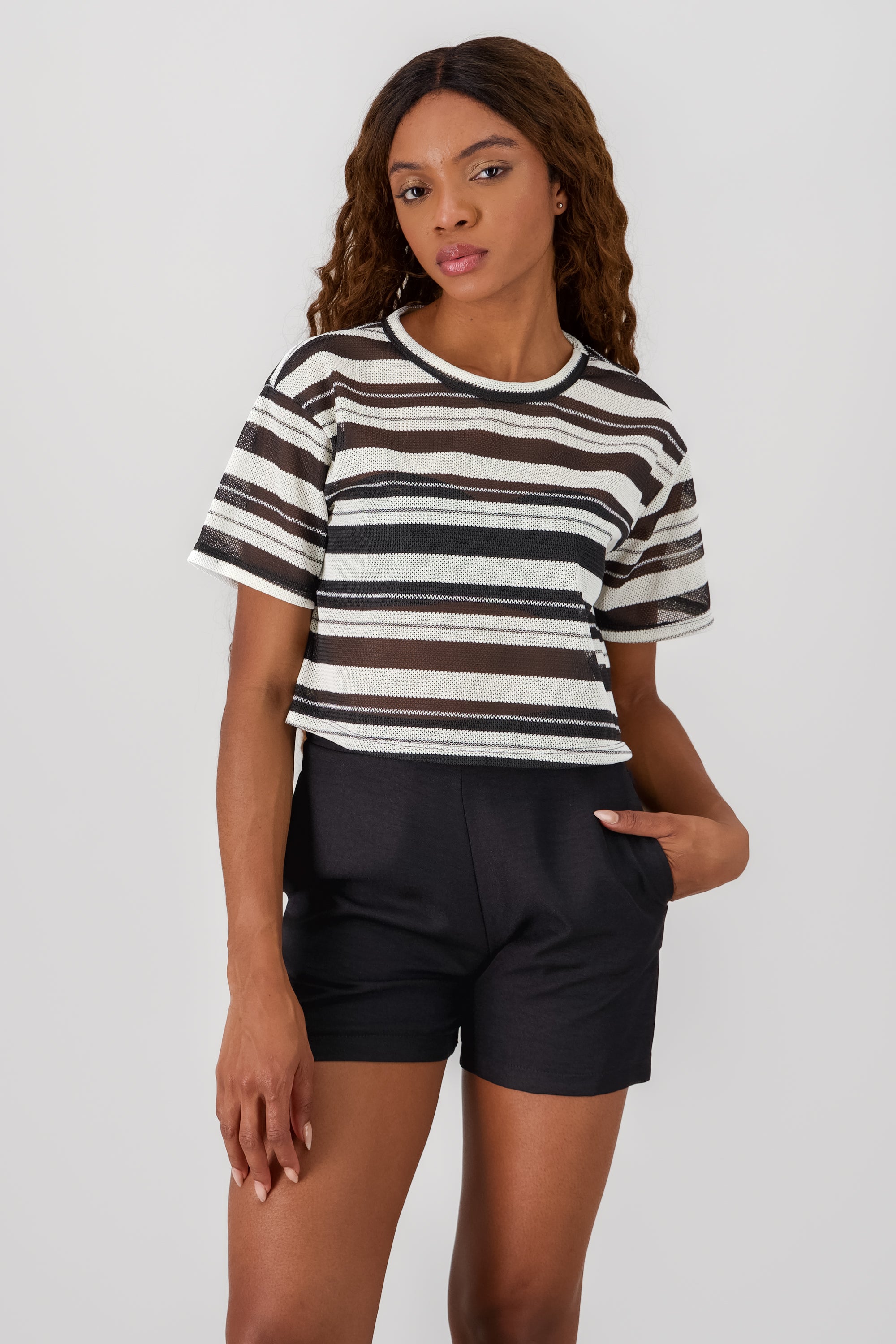 Striped Knit T Shirt WHITE COMBO