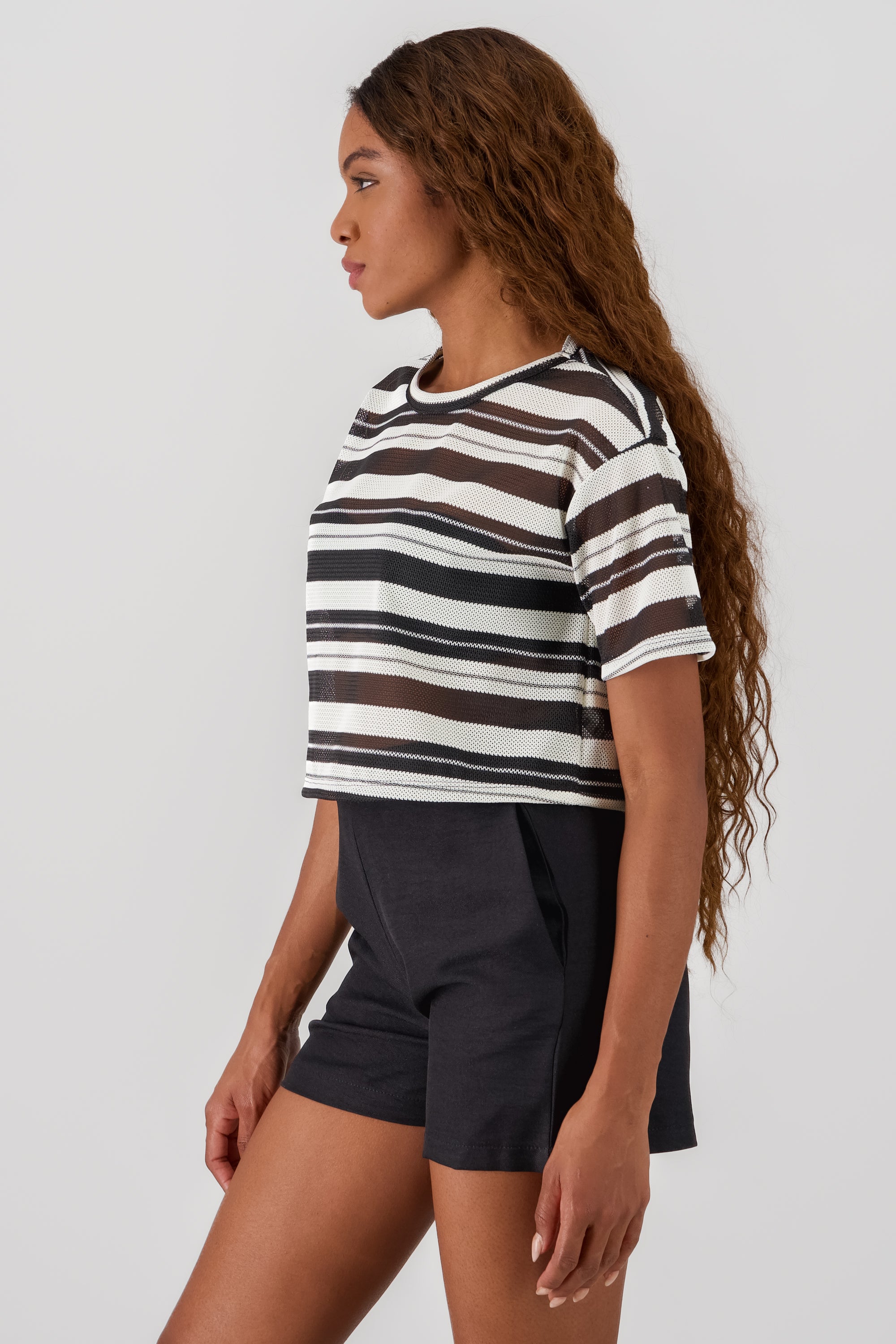 Striped Knit T Shirt WHITE COMBO