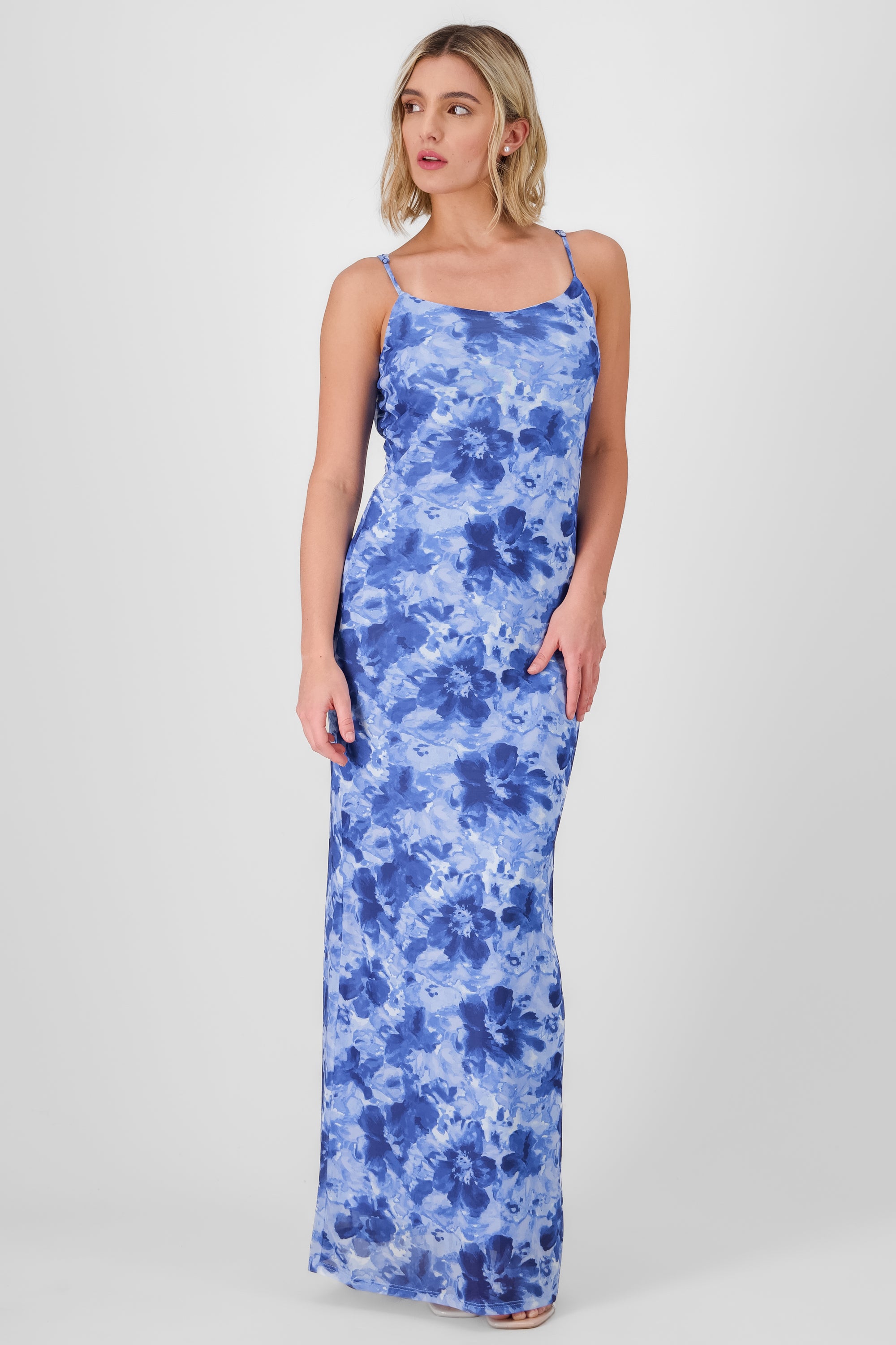 Floral Mesh Print Maxi Dress BLUE