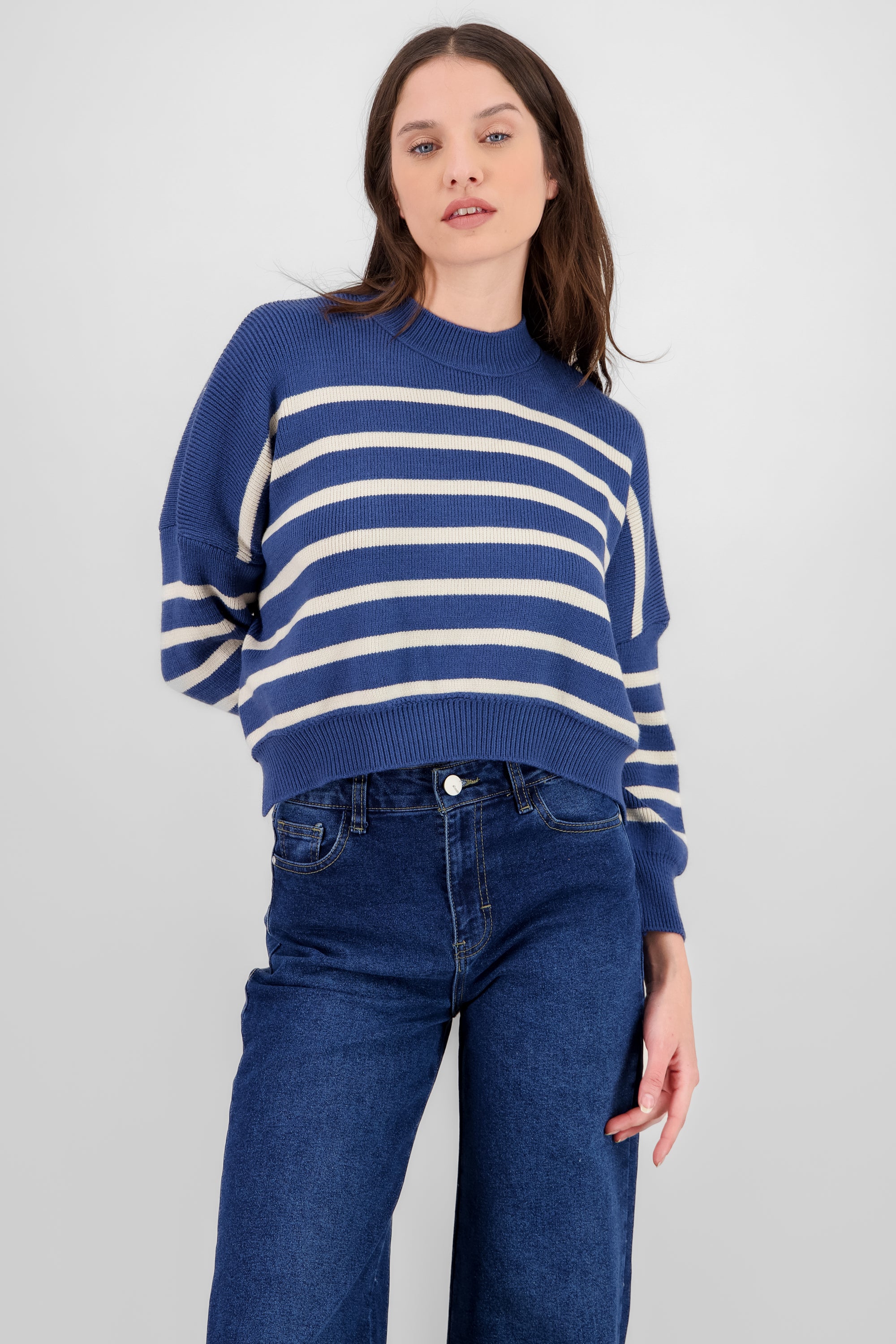 Soft Striped Sweater BLUE COMBO