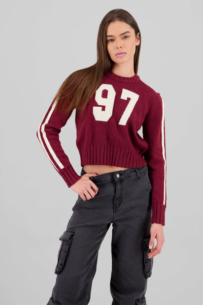 Contrast Knit Sweater BURGUNDY COMBO