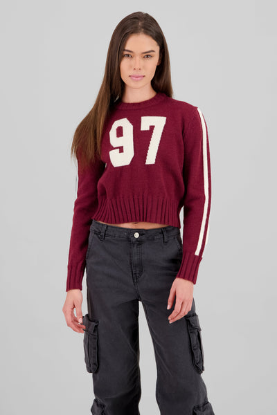 Contrast Knit Sweater BURGUNDY COMBO