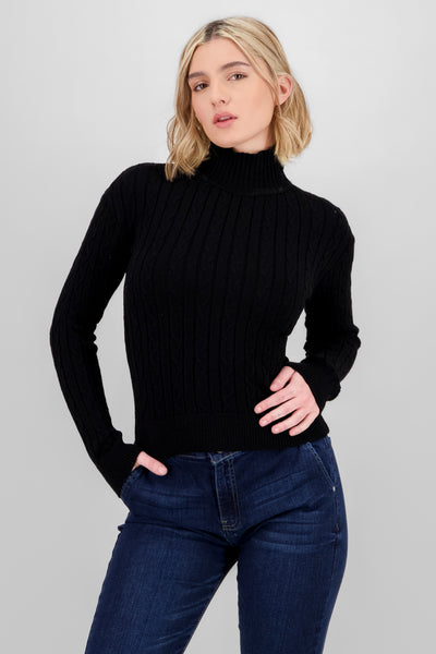 Long Sleeve Knit Sweater BLACK