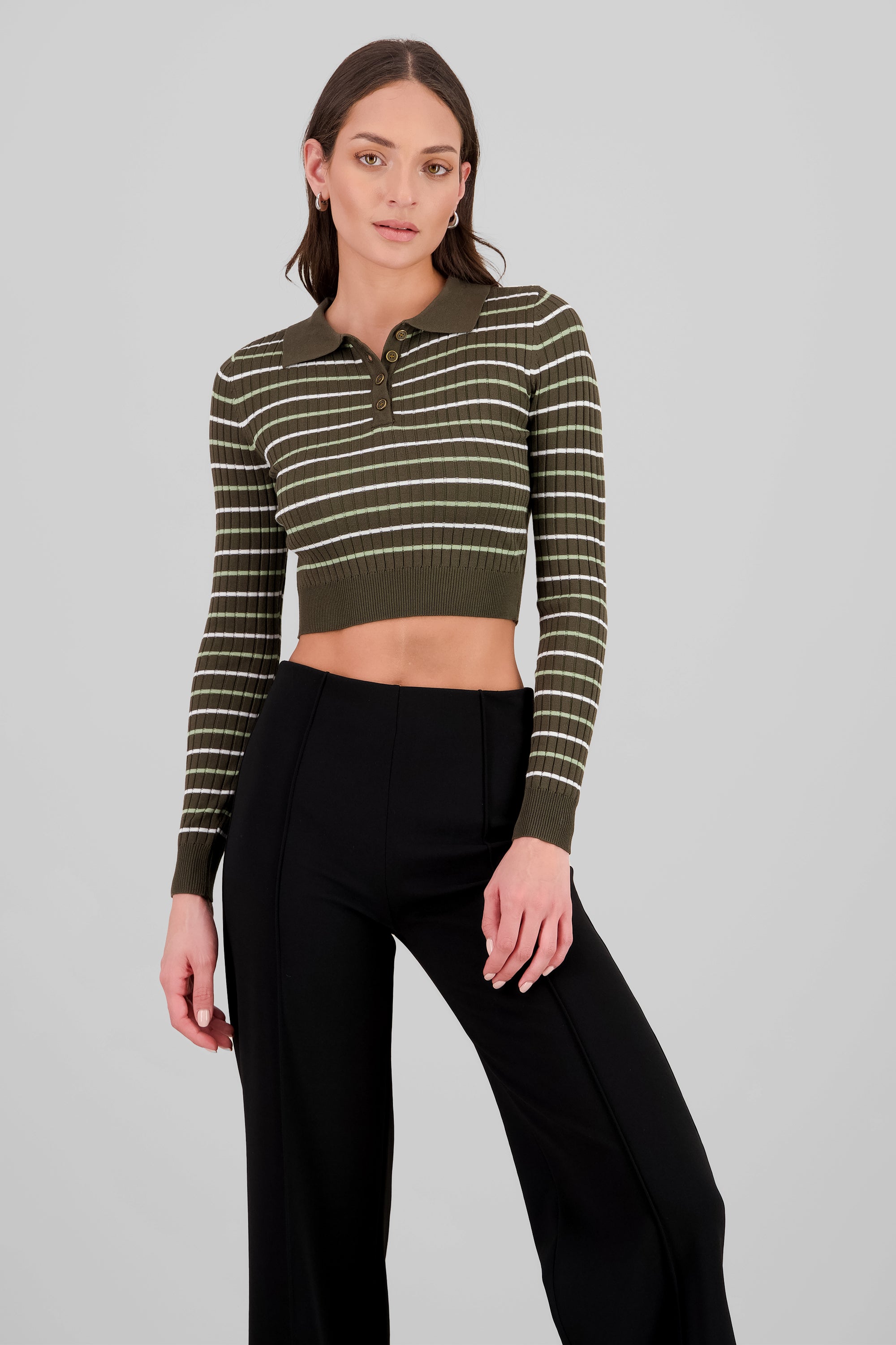 Striped Knit Polo Long Sleeve Top OLIVE COMBO