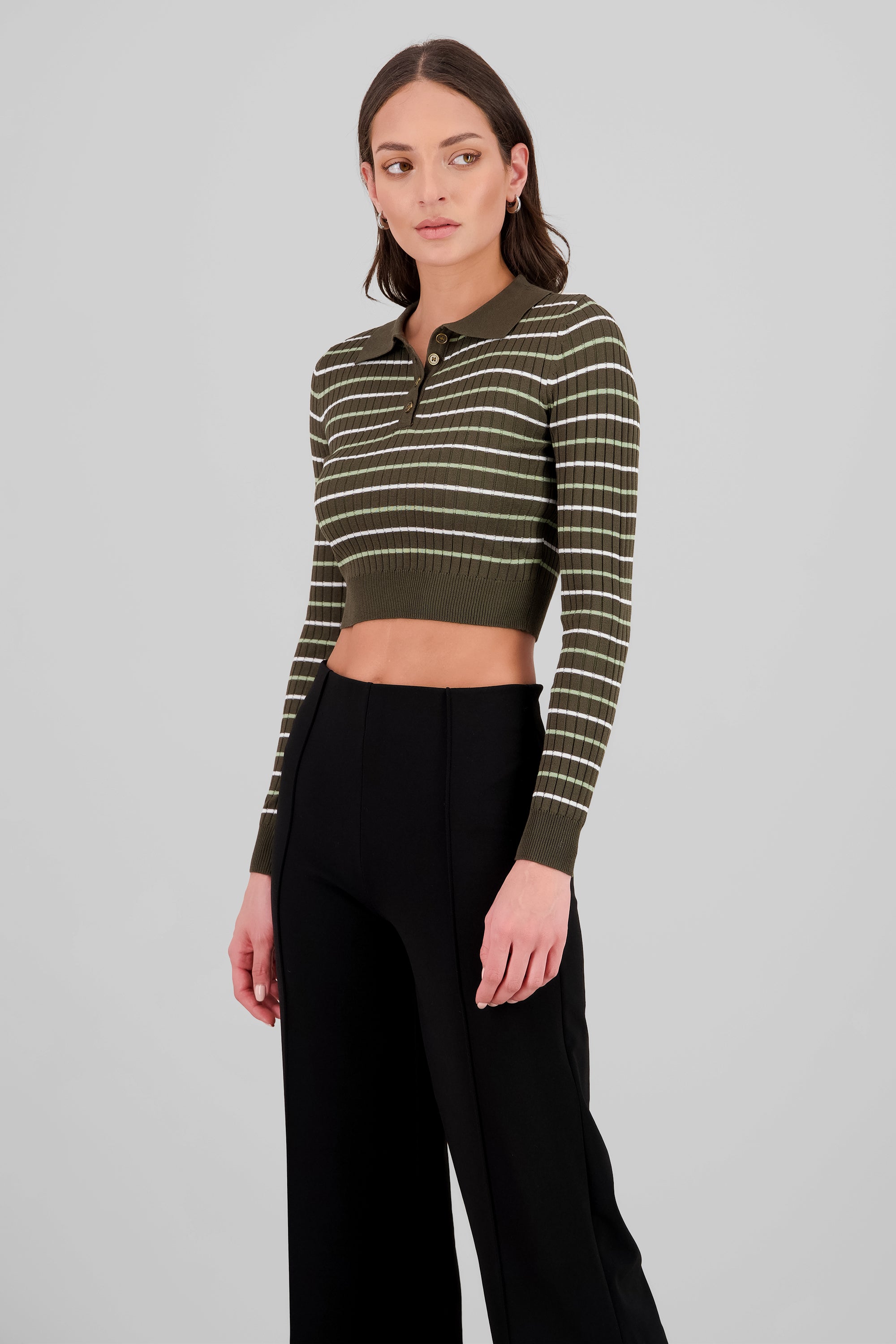 Striped Knit Polo Long Sleeve Top OLIVE COMBO