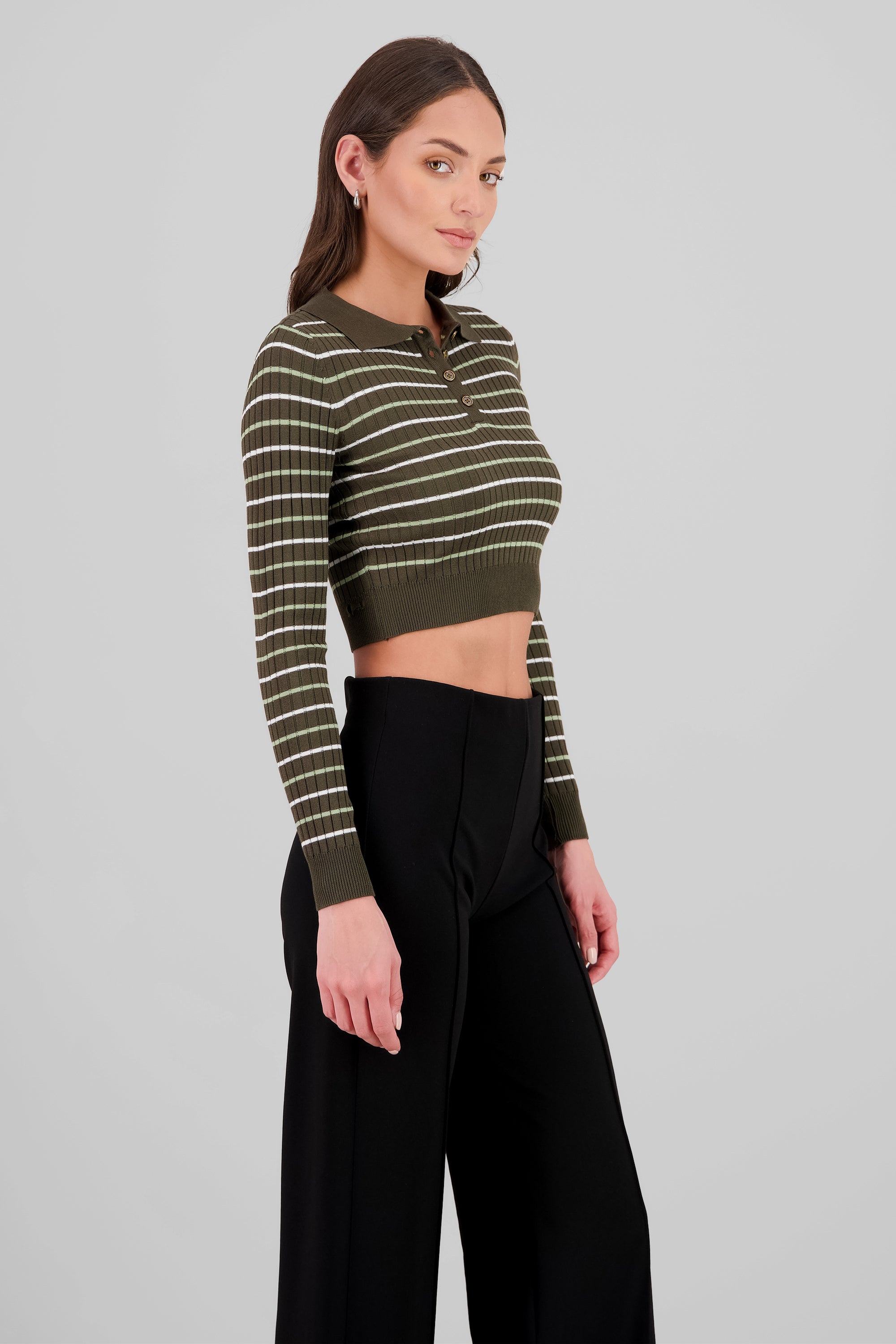 Striped Knit Polo Long Sleeve Top OLIVE COMBO