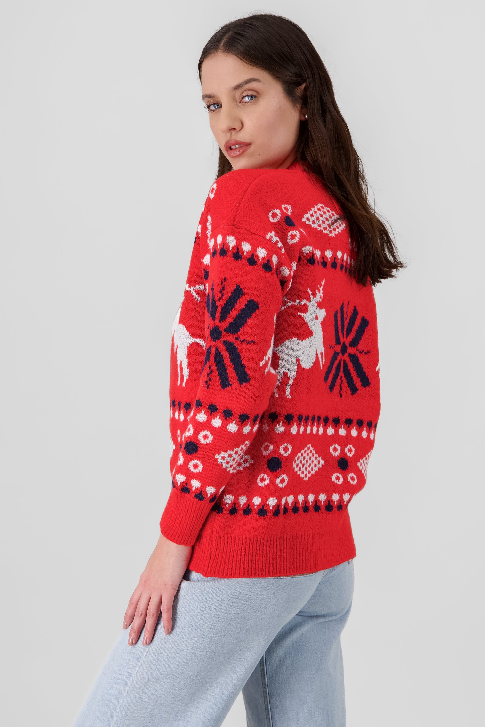 Reindeer and Snowflake Christmas Sweater RED COMBO