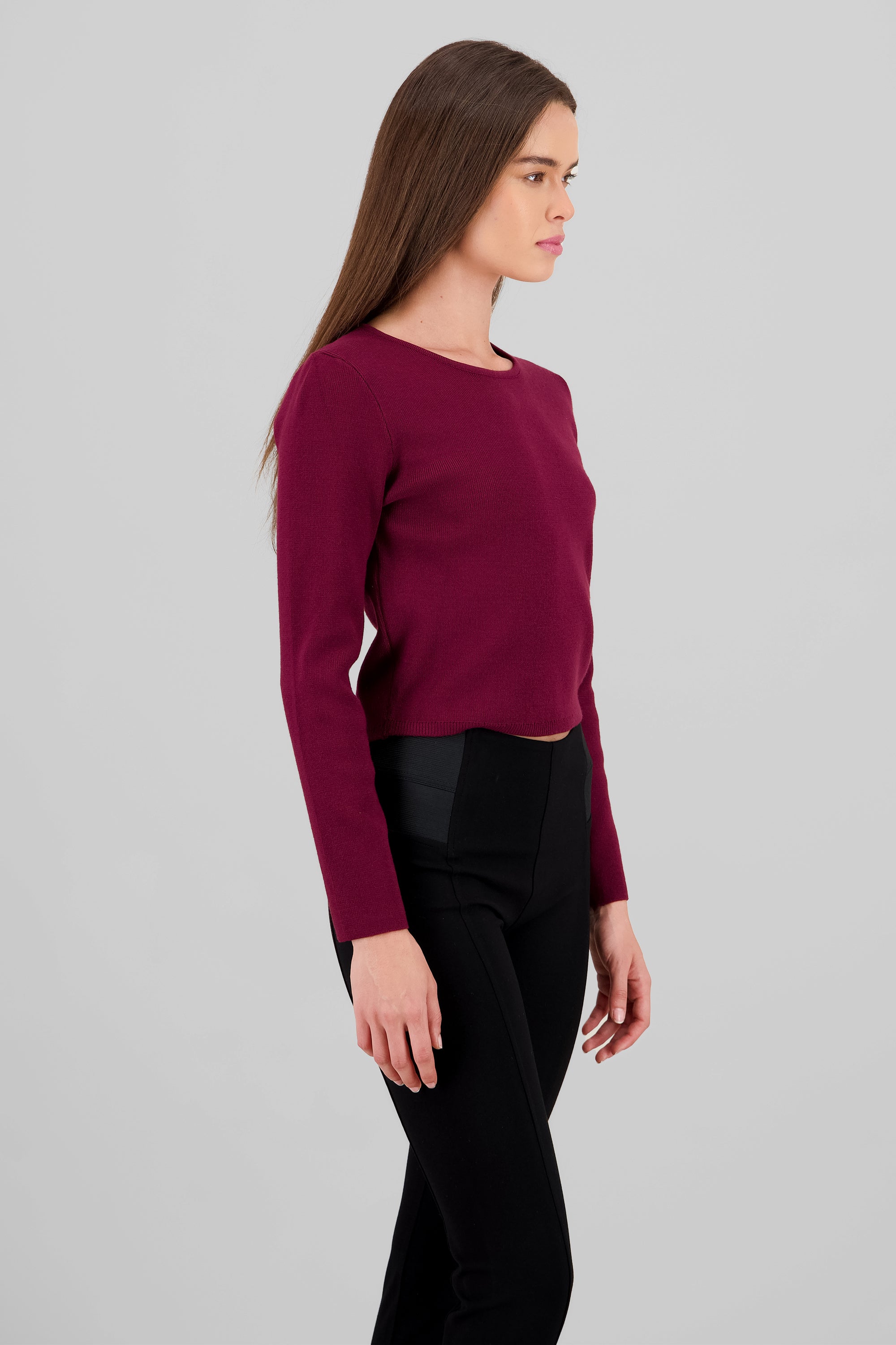 Knit Crew Neck Sweater BURGUNDY